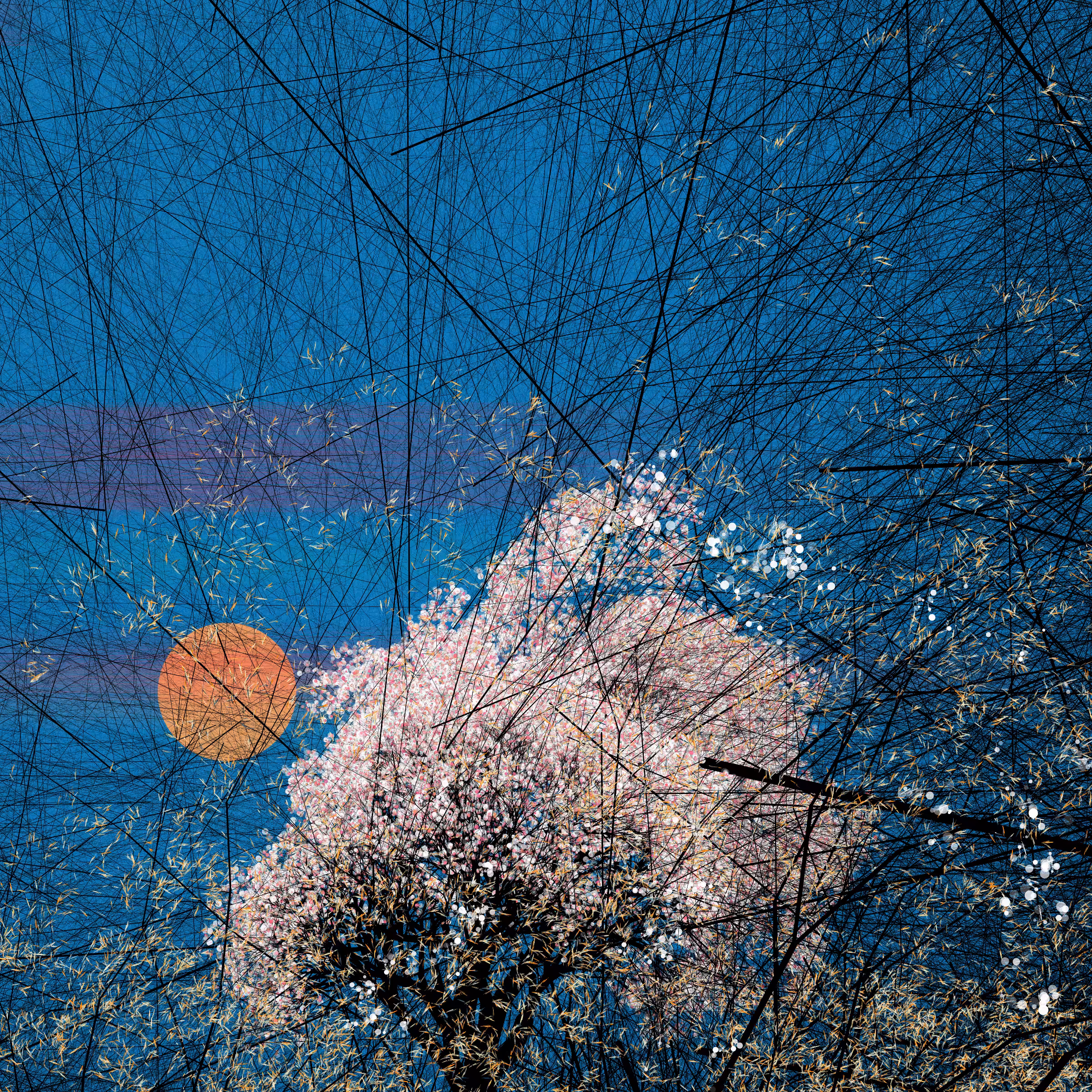 conversation with the wind #392