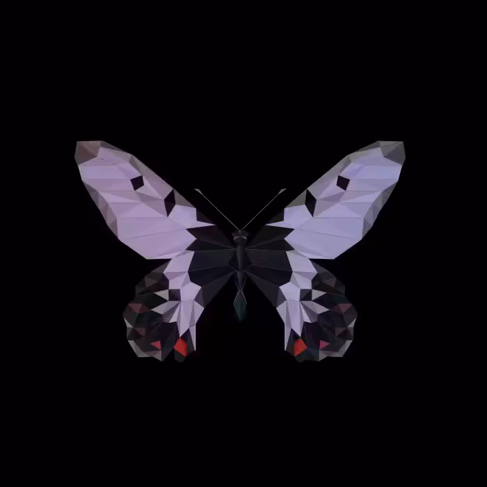 ƸӜƷ _ #003 _ CRESSIDA CRESSIDA INSULARIS _ #BBfly