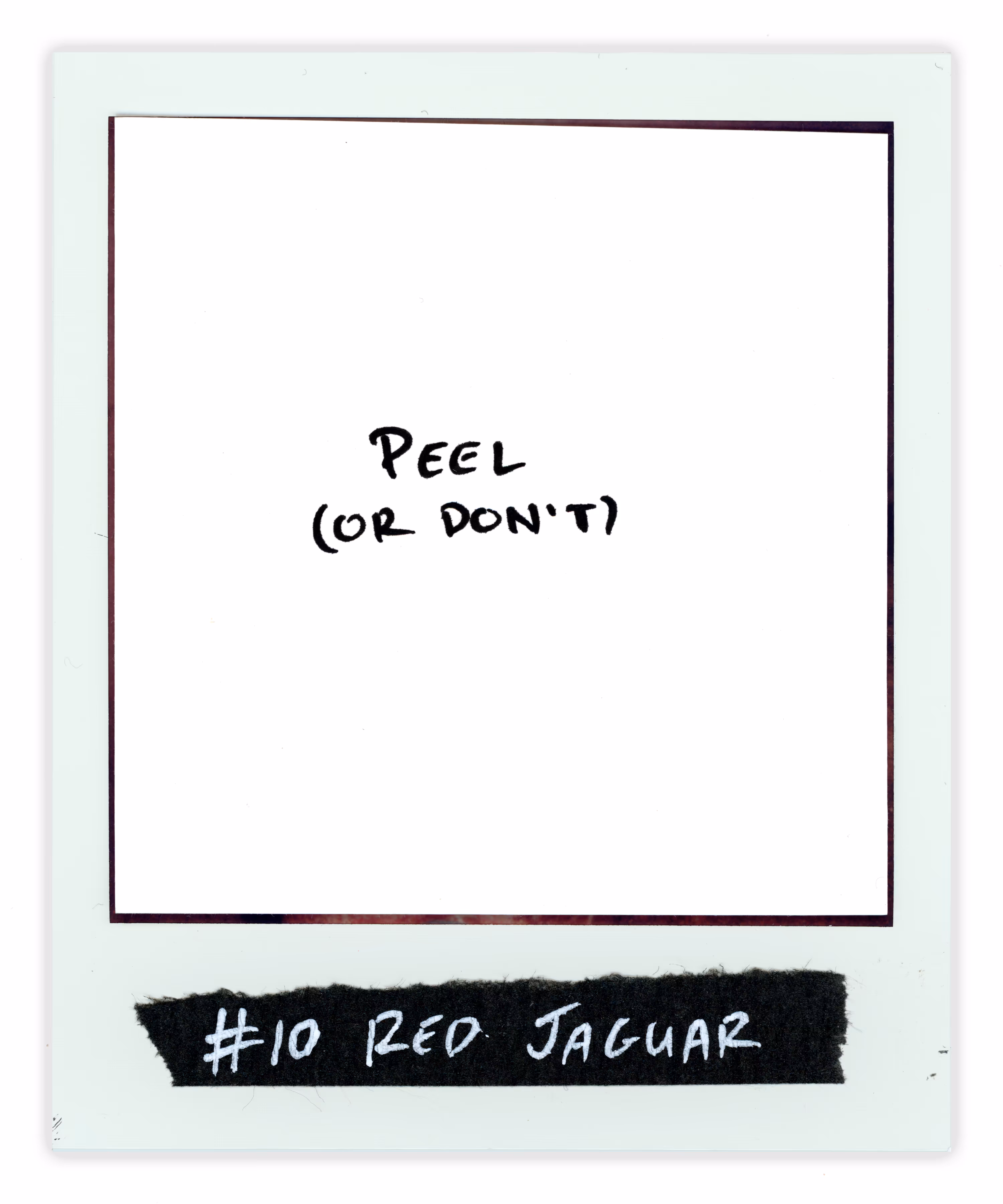 #10 RED JAGUAR