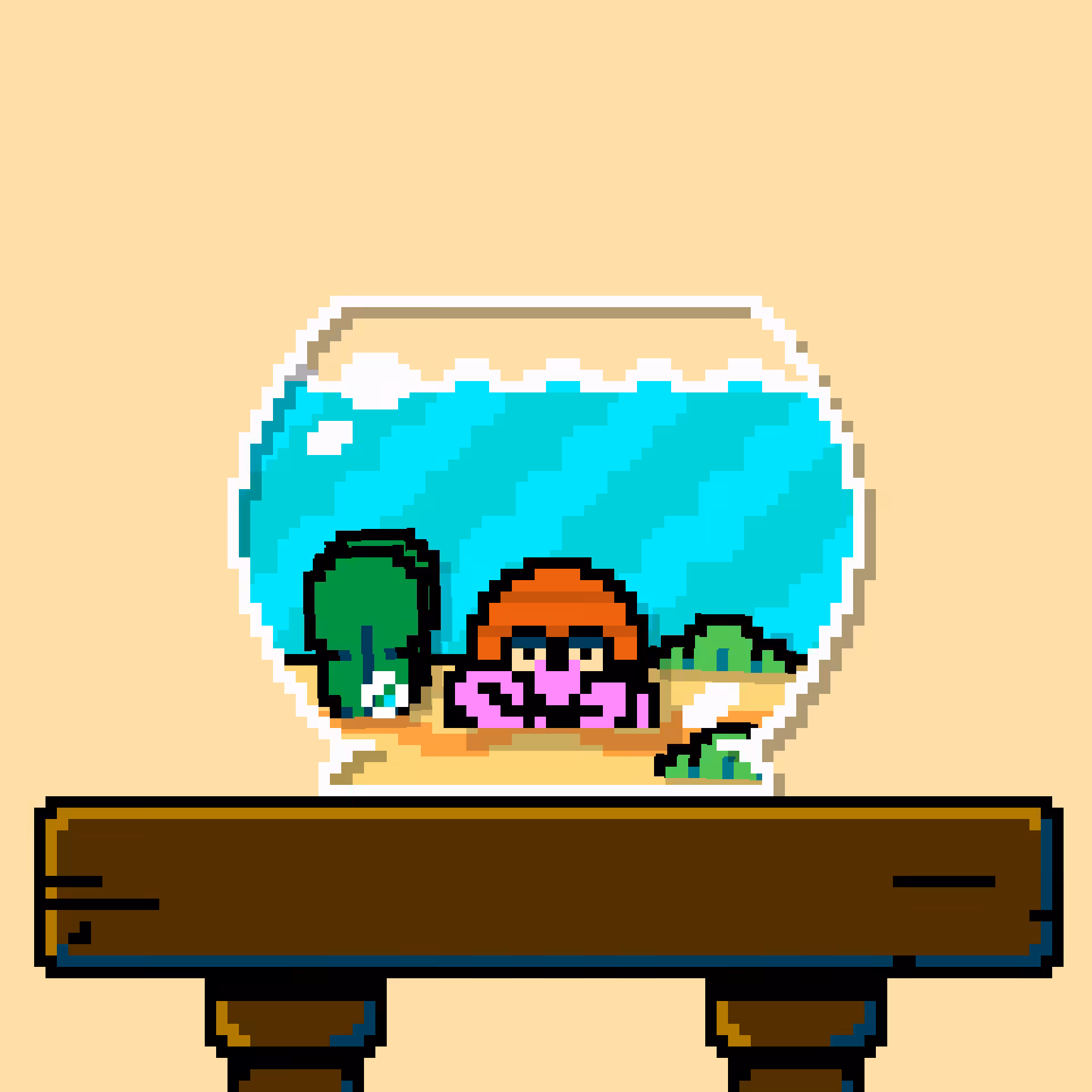 hermit crab #61