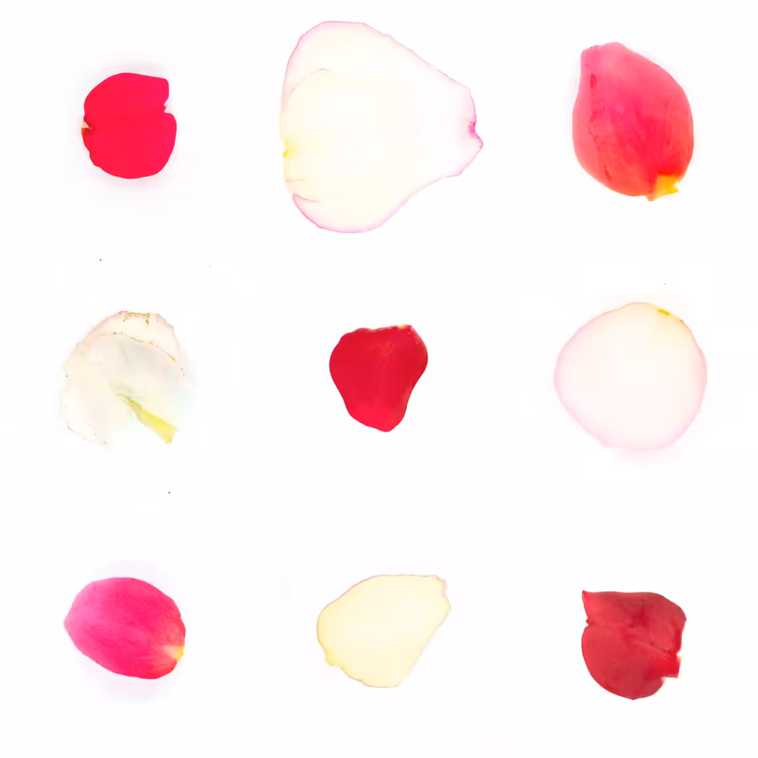 Infinite Petals 3x3#3606