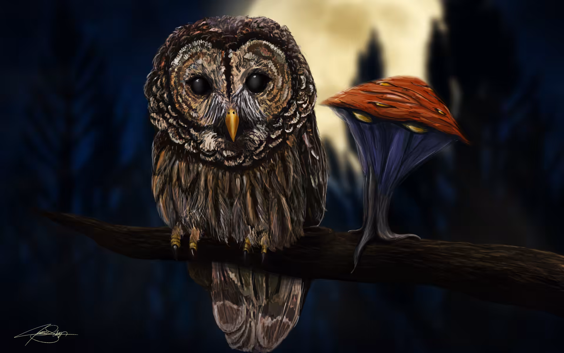 Owl & Shroom