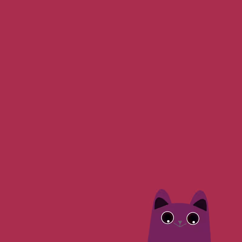 Where is the cat? #27