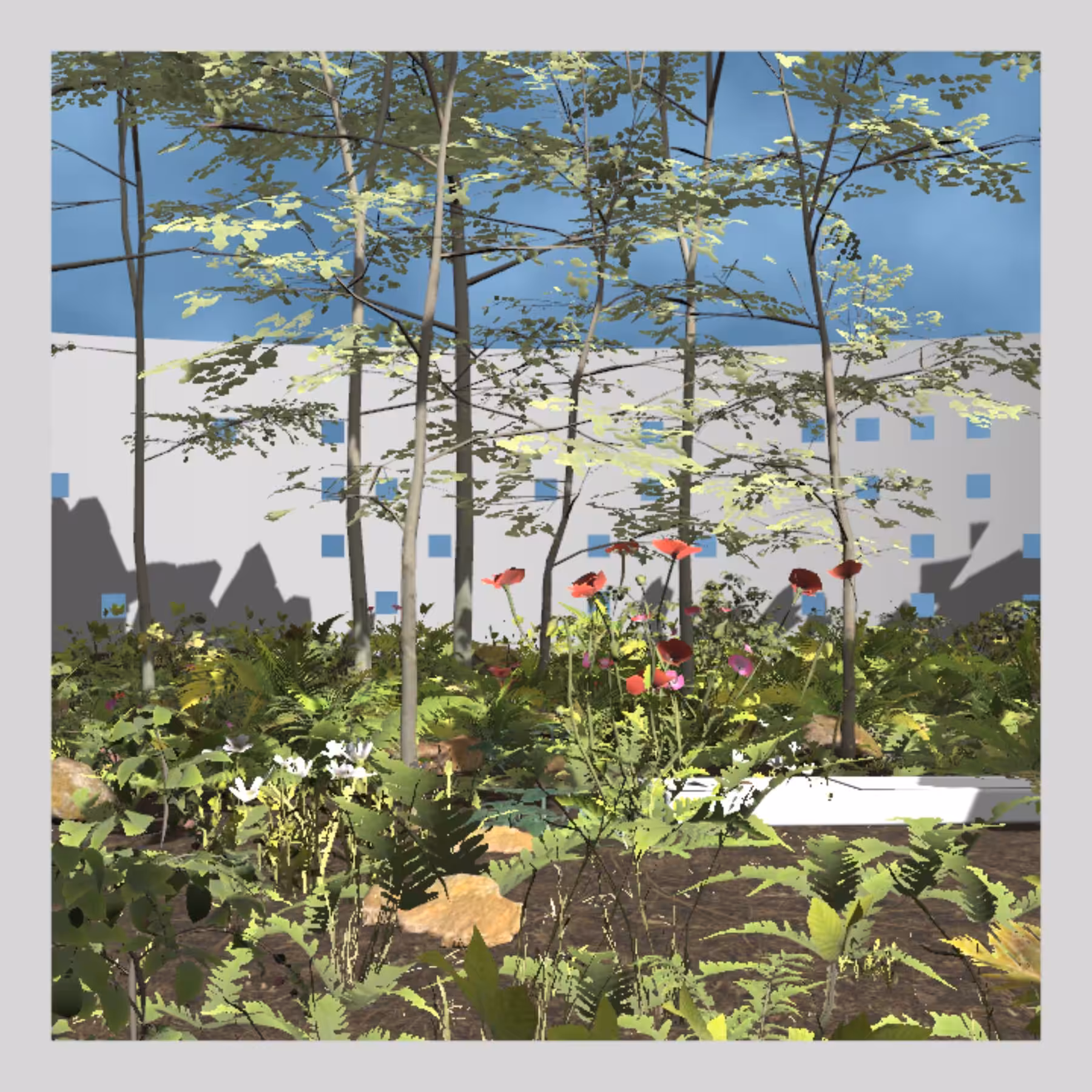 Viewport