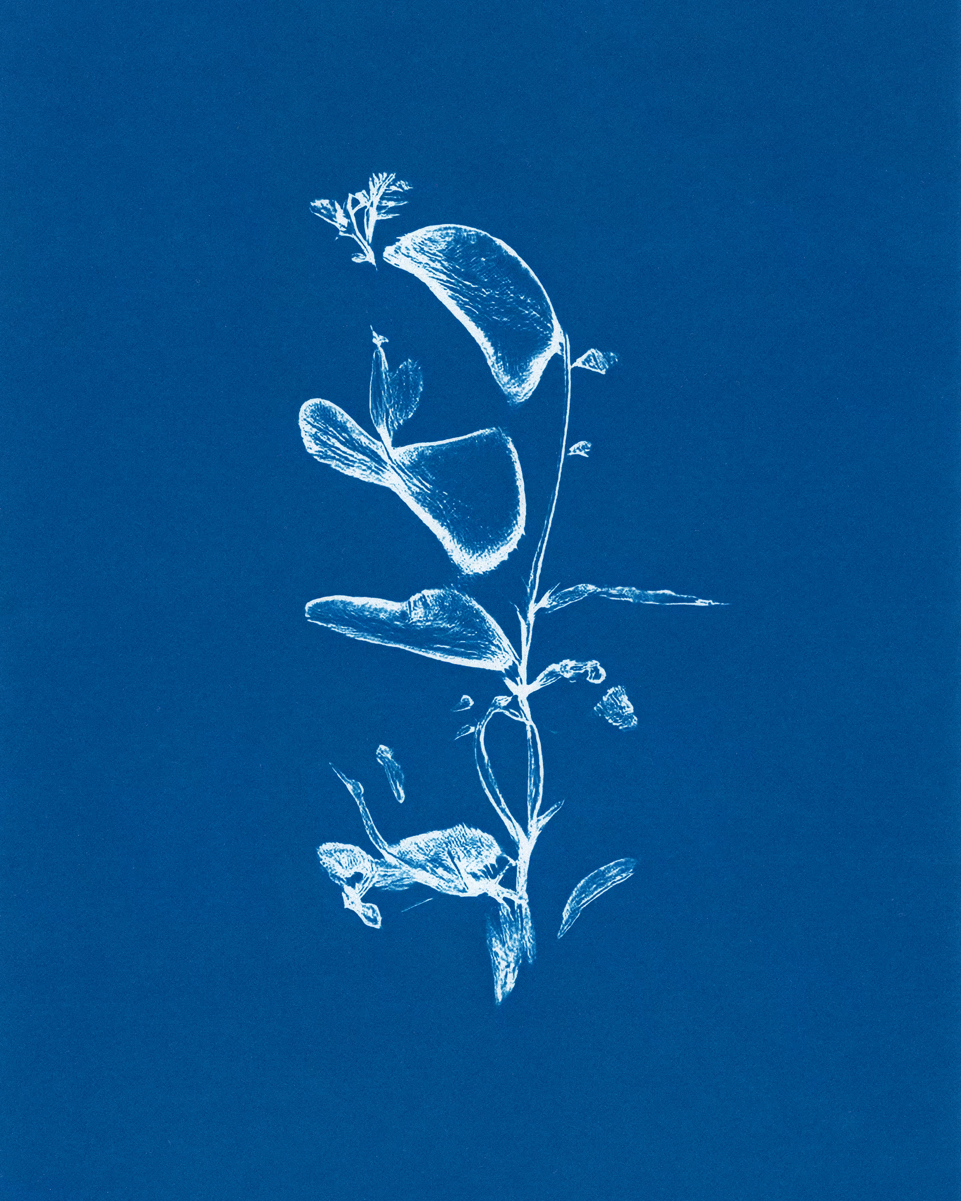 In Translation #16 by Claudia Pawlak