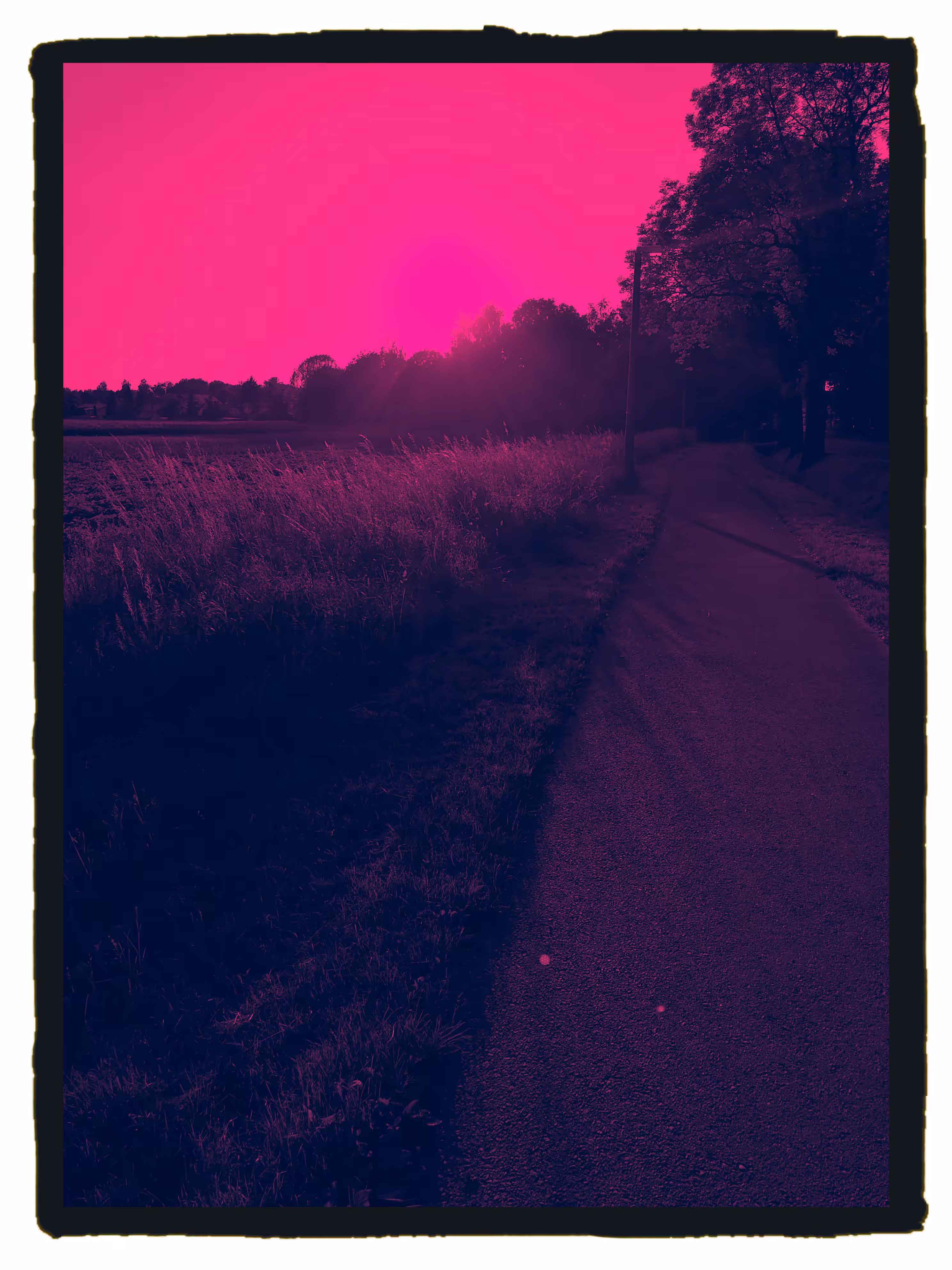 Daydream in Red