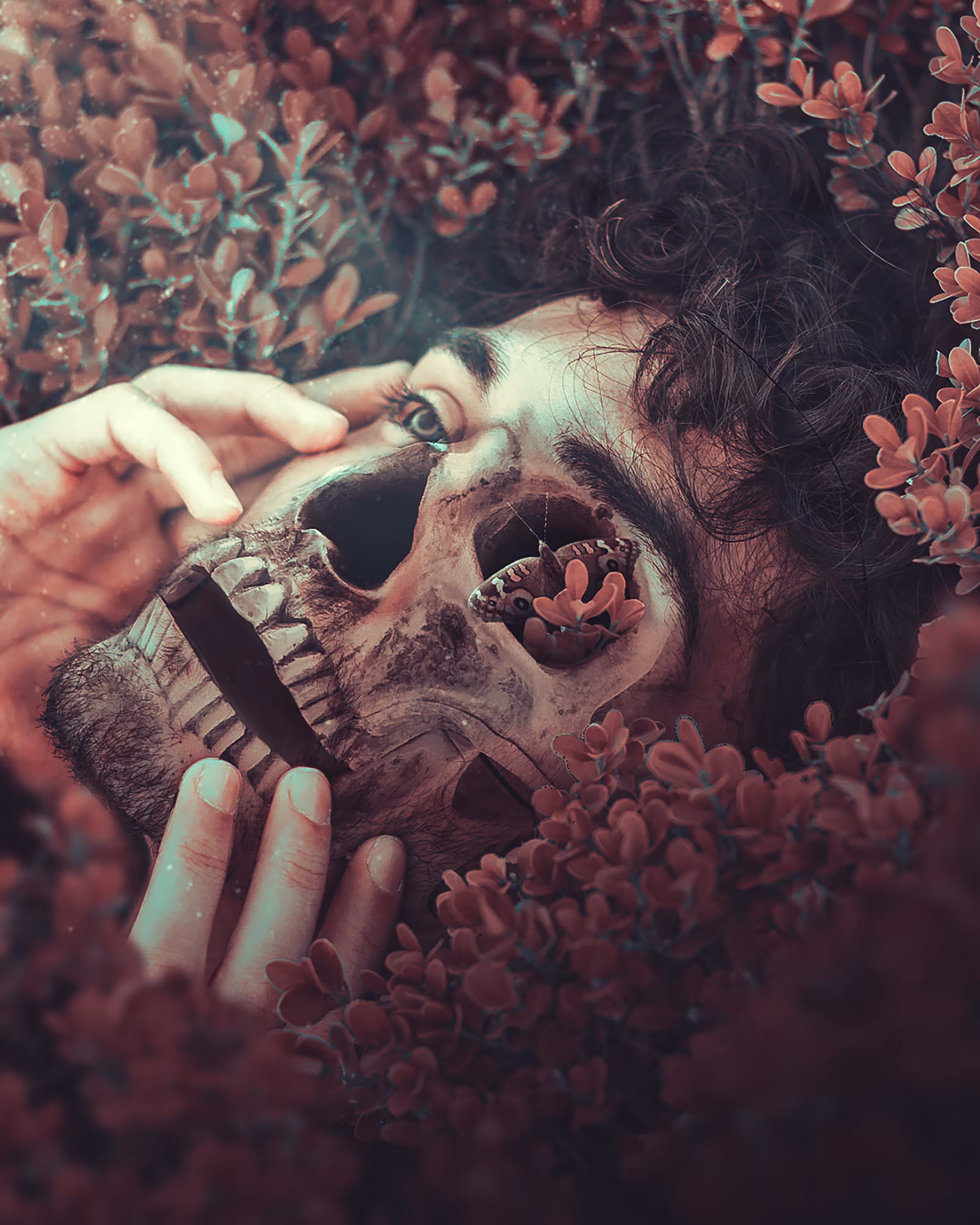 Beautiful Skull