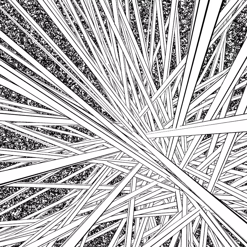 Monochrome Explotion #8