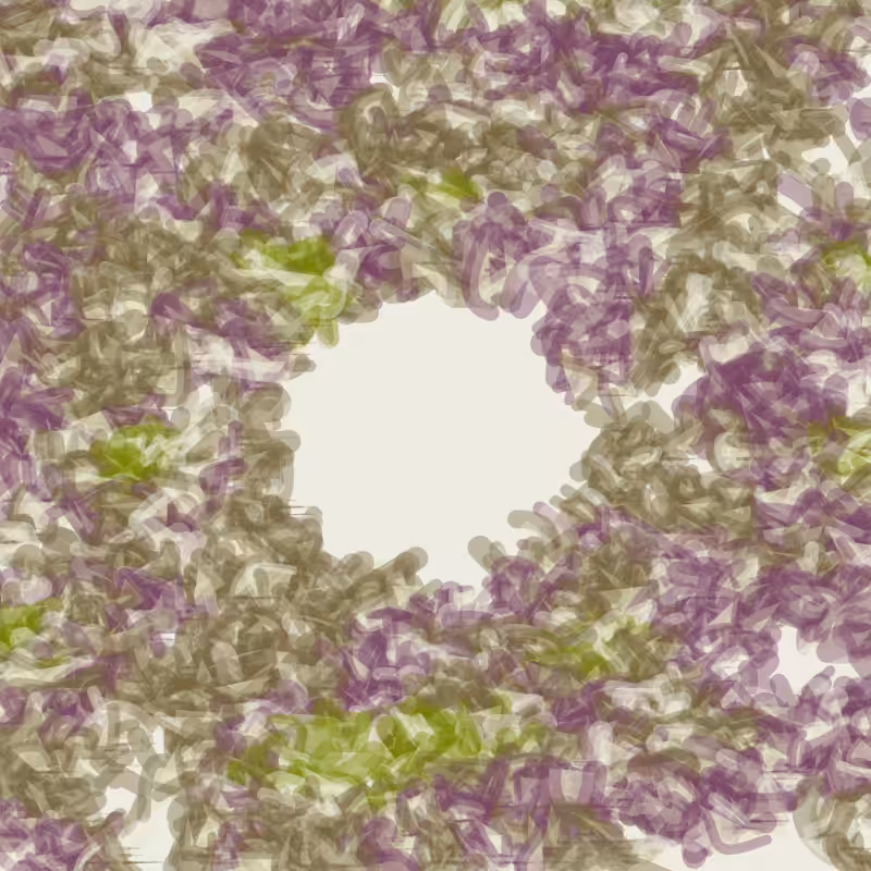 Petri 1500 #133