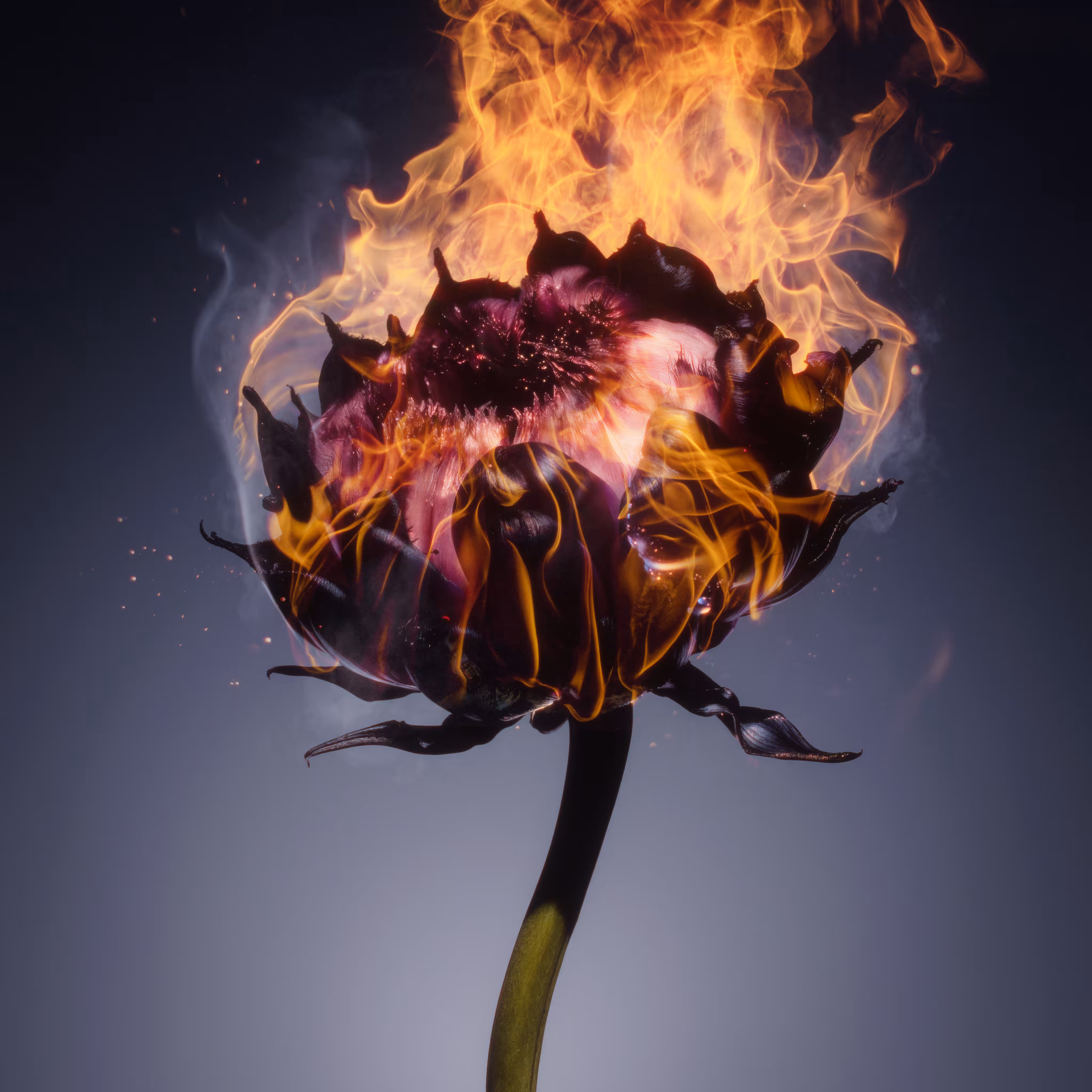 Hybrid Species — Flumina Incendia