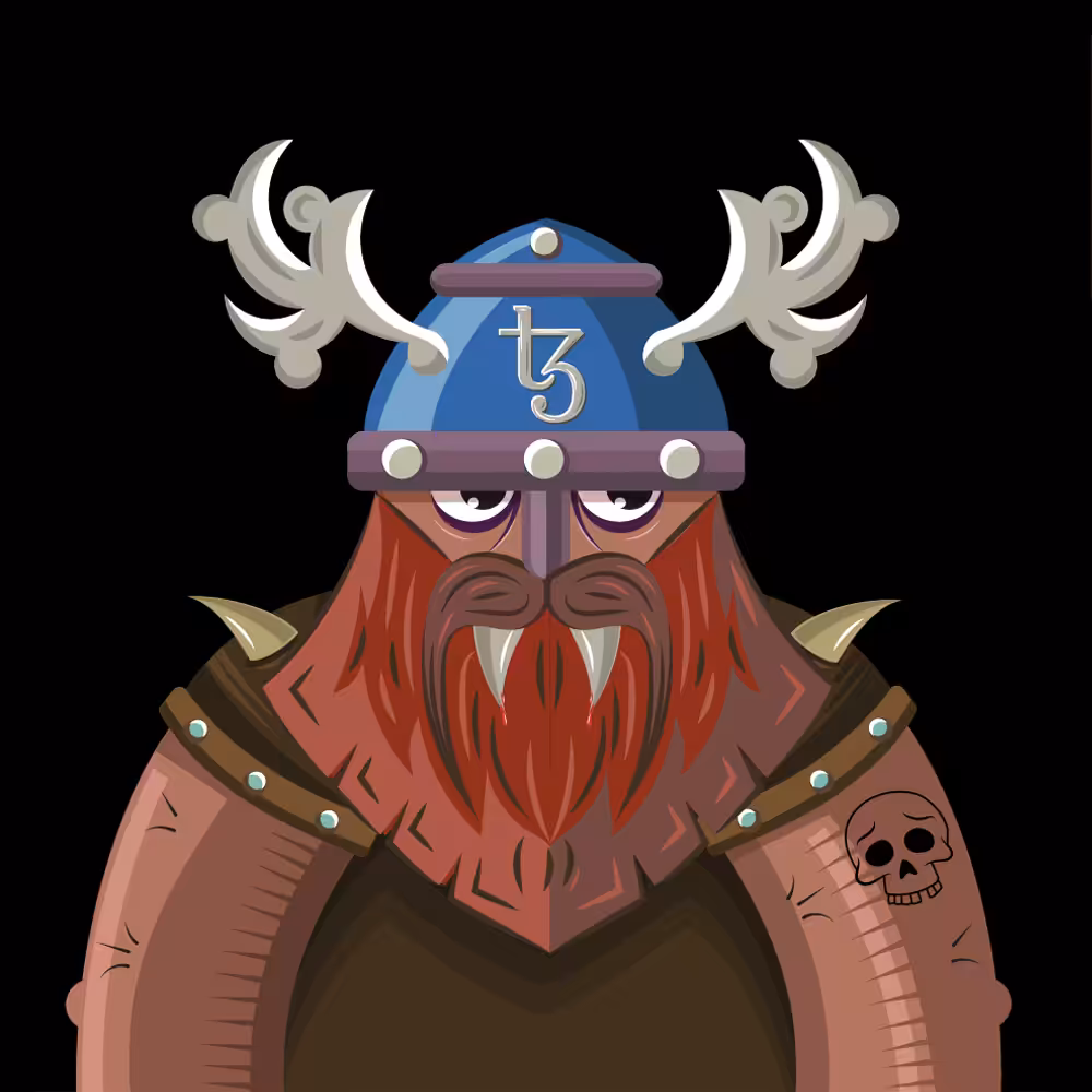 TEZ VIKINGS 17