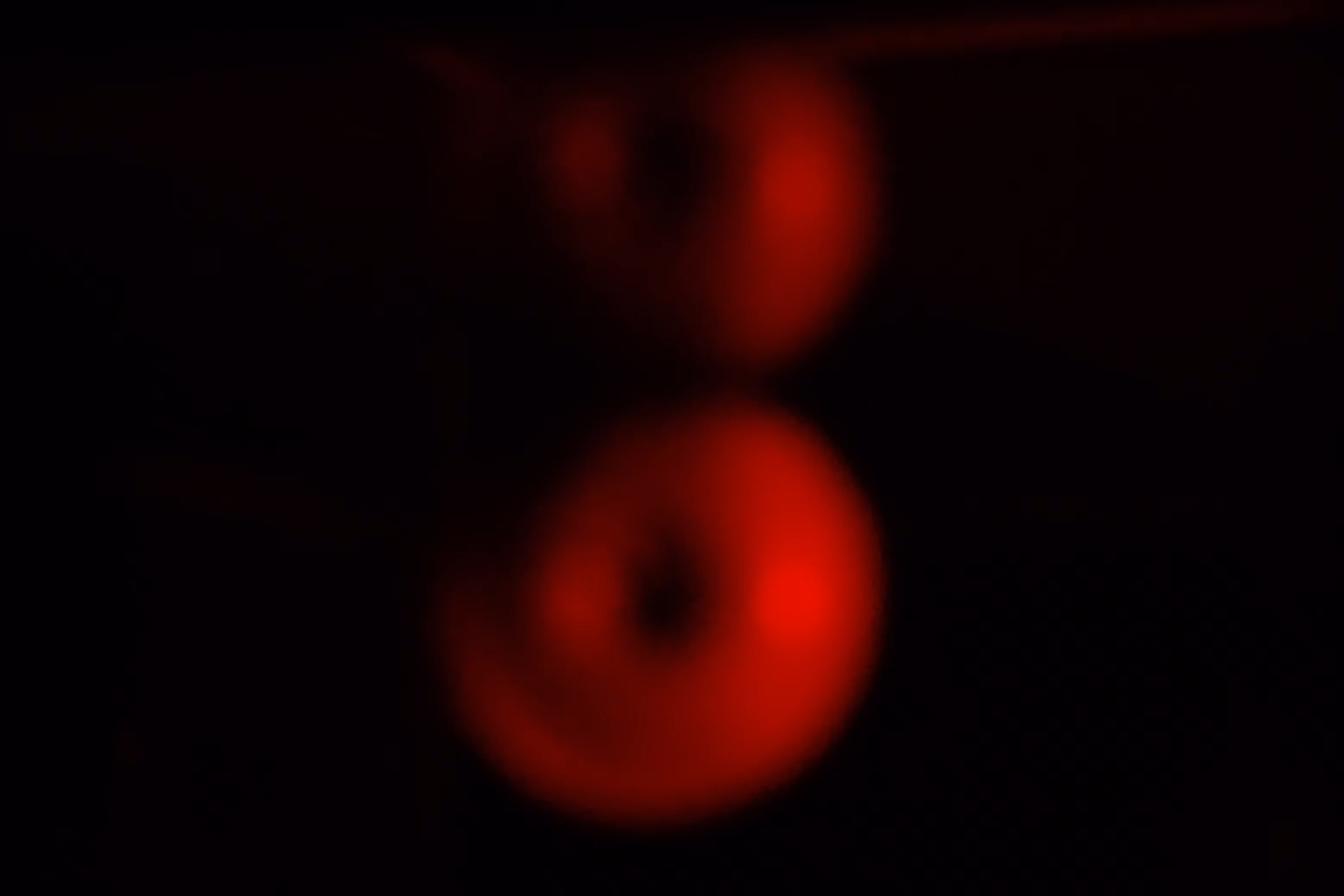 Photographer's DNA - #16