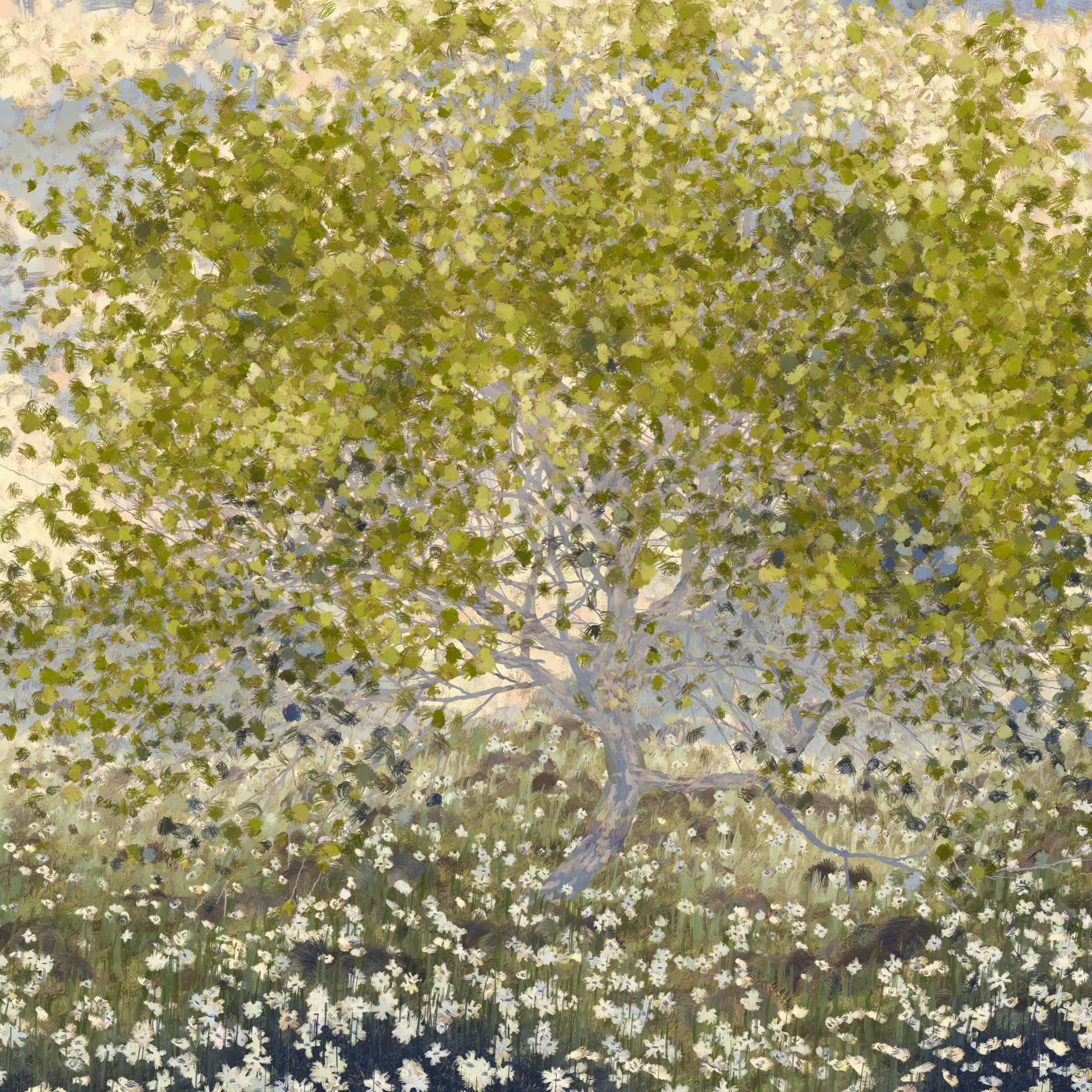 Rodeo posts: Tree in early summer