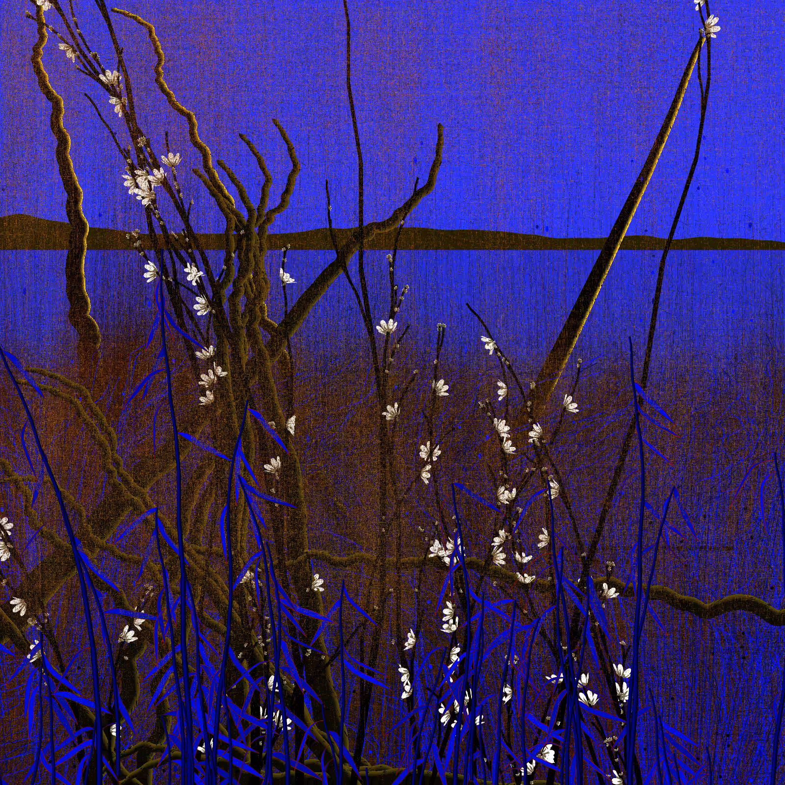 Dry twigs #20