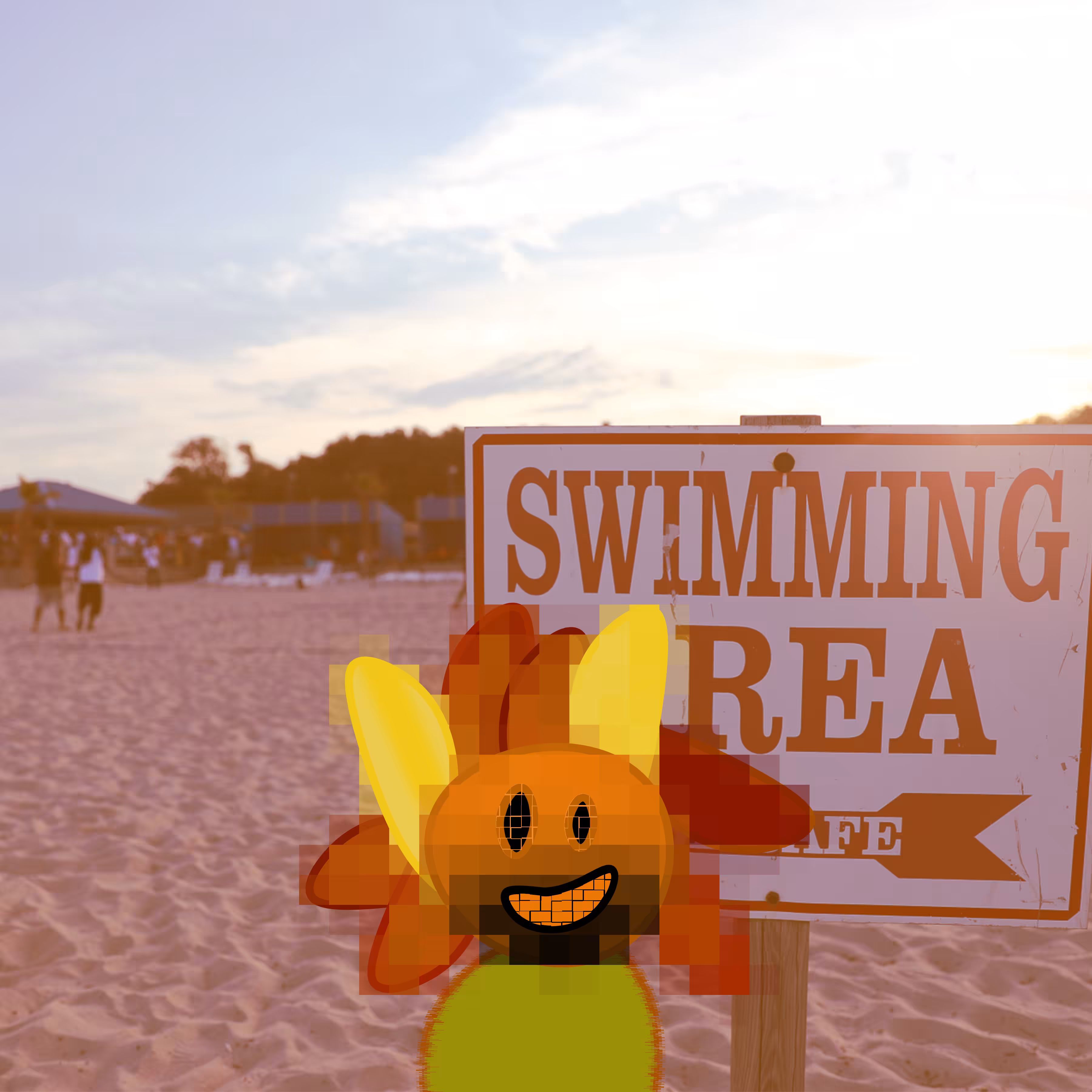 The Sunny1's at the Beach