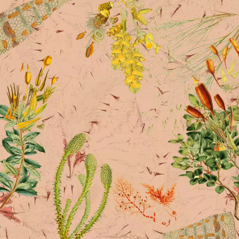 future flora from Antarctica's past #5