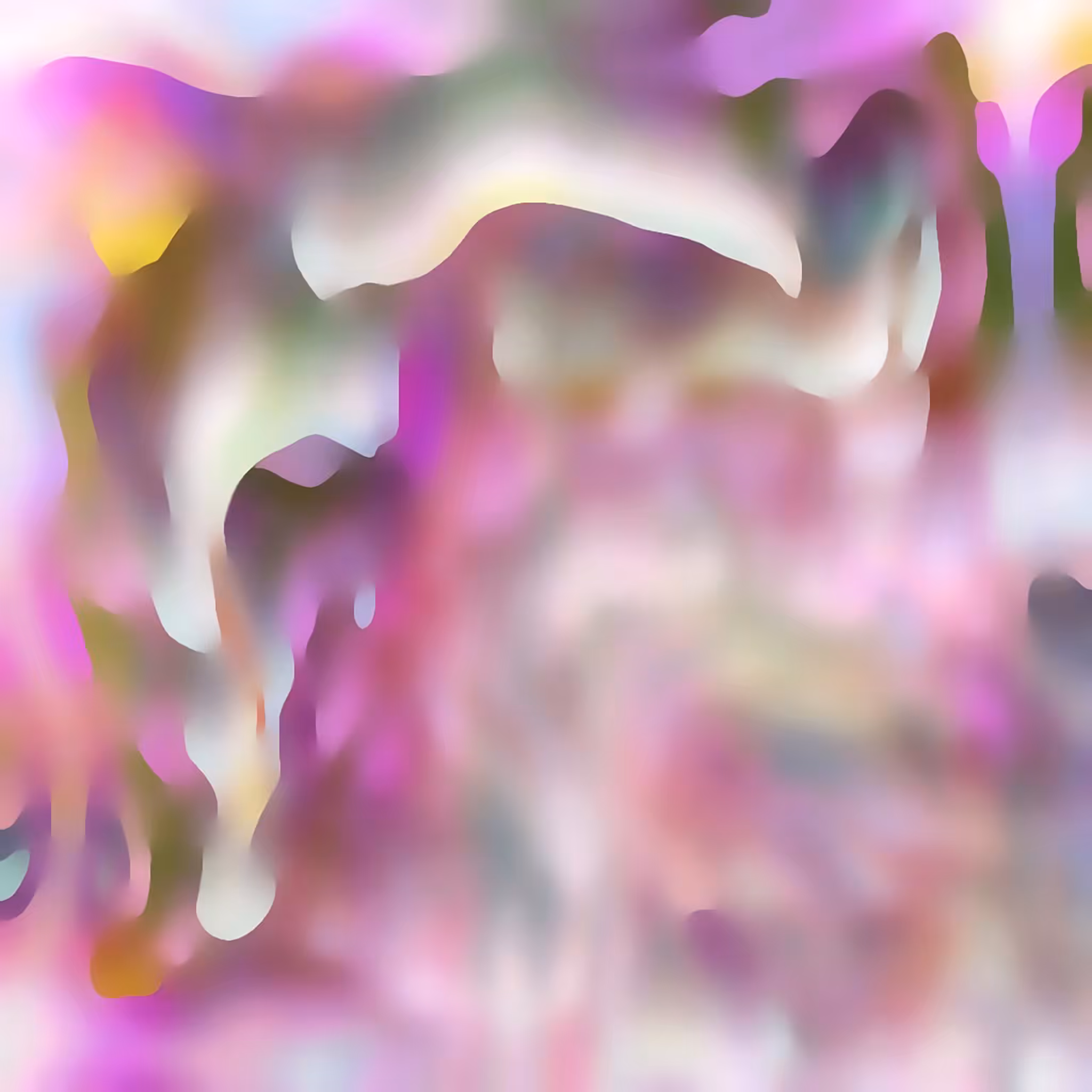 Soft Math #6