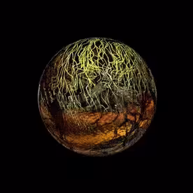 Earth|Tree|Sky - Orbs