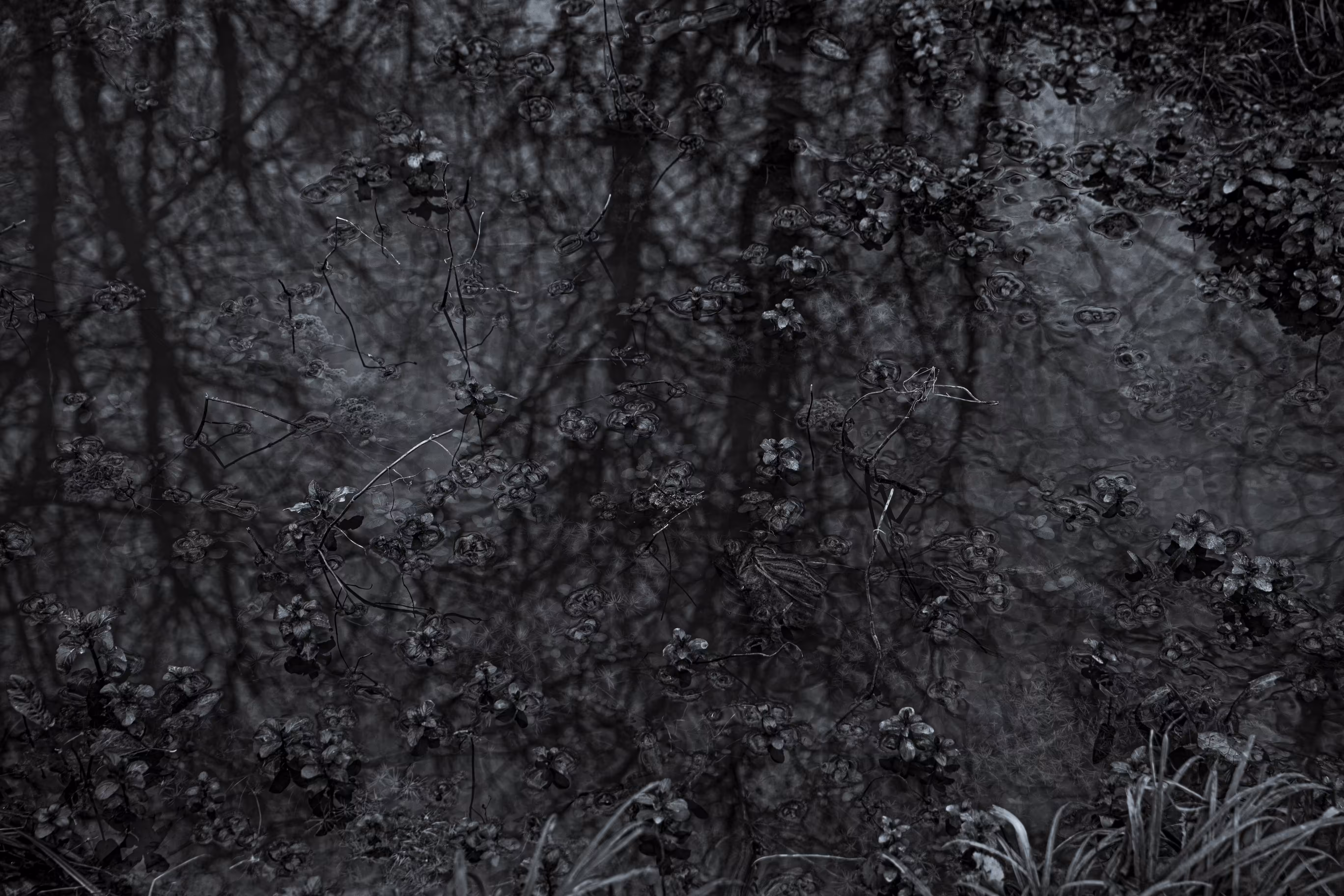 The Play of Shadows