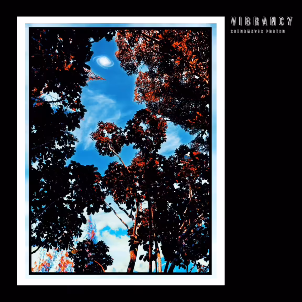 VIBRANCY