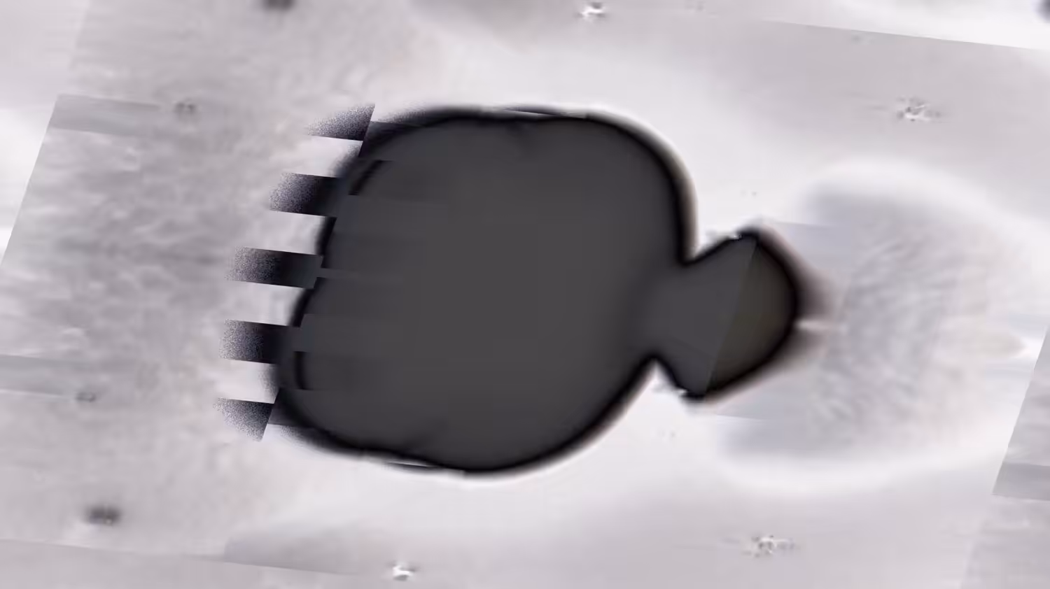Macroverse: Virus
