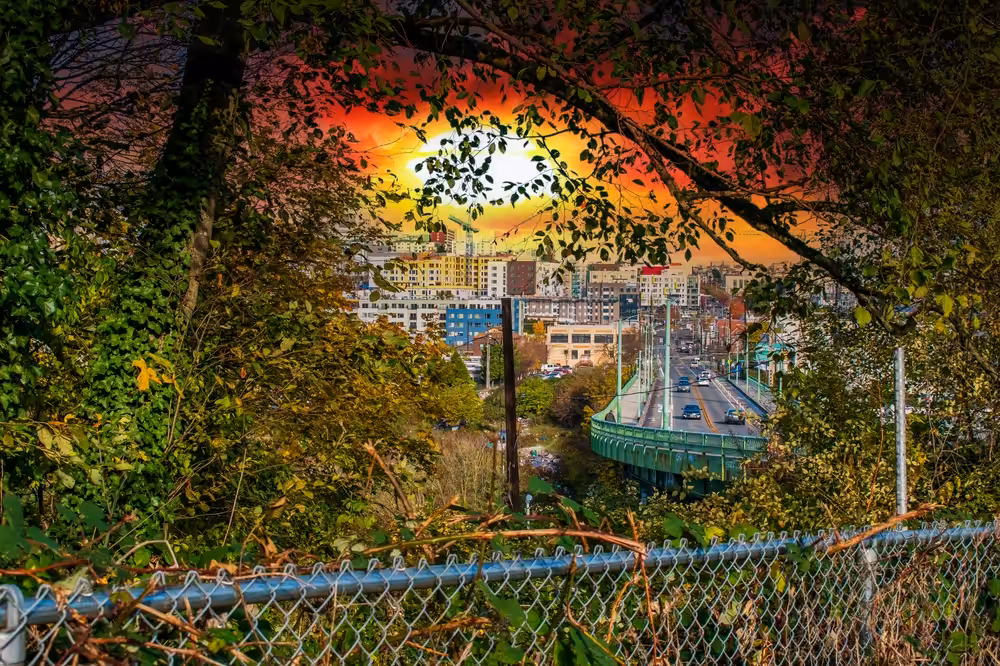 International District
