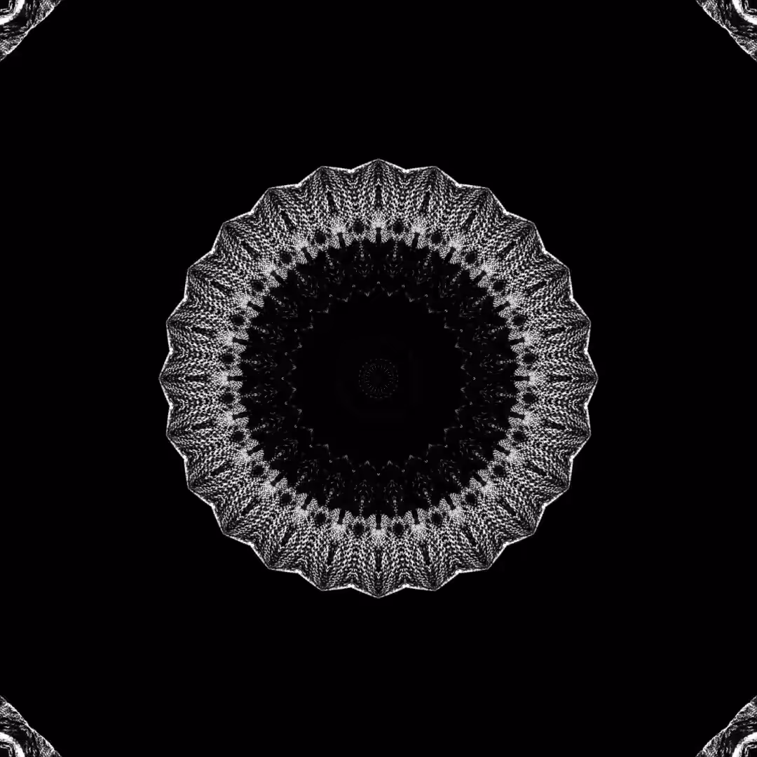 orbital warp 11