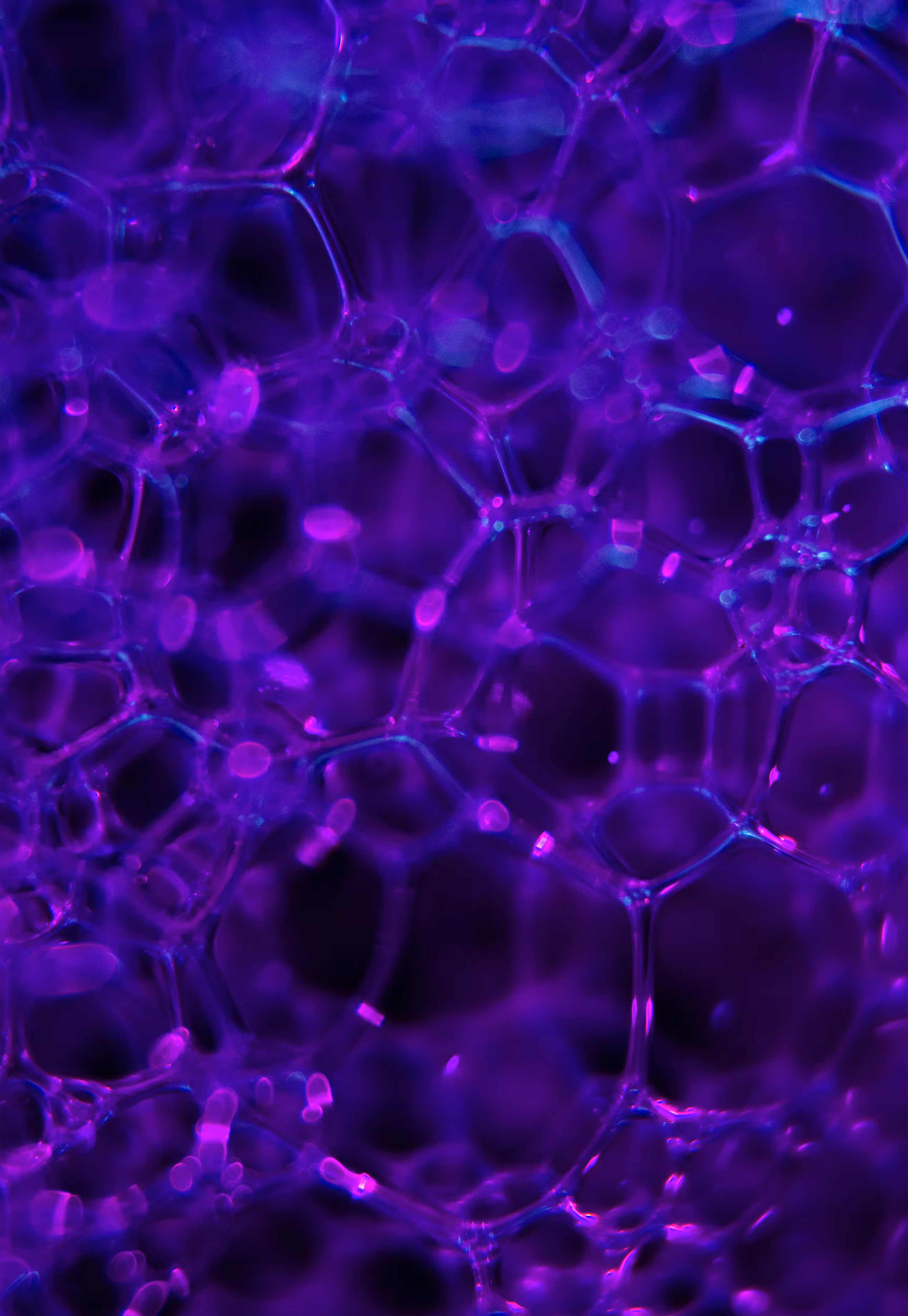 Abstract World of Soap Bubbles: #122 Bubbles