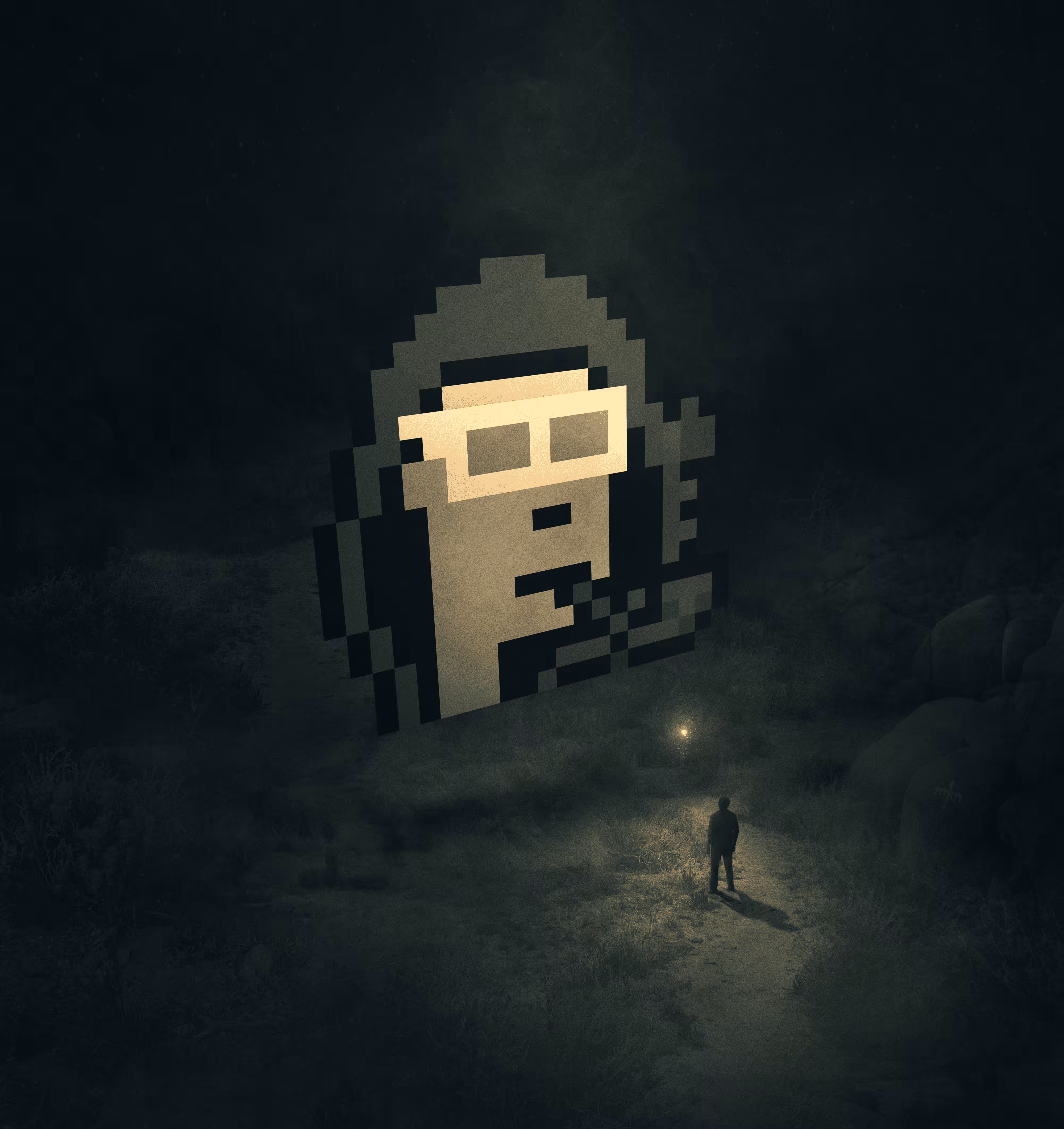 Dark Crypto Punk #0465