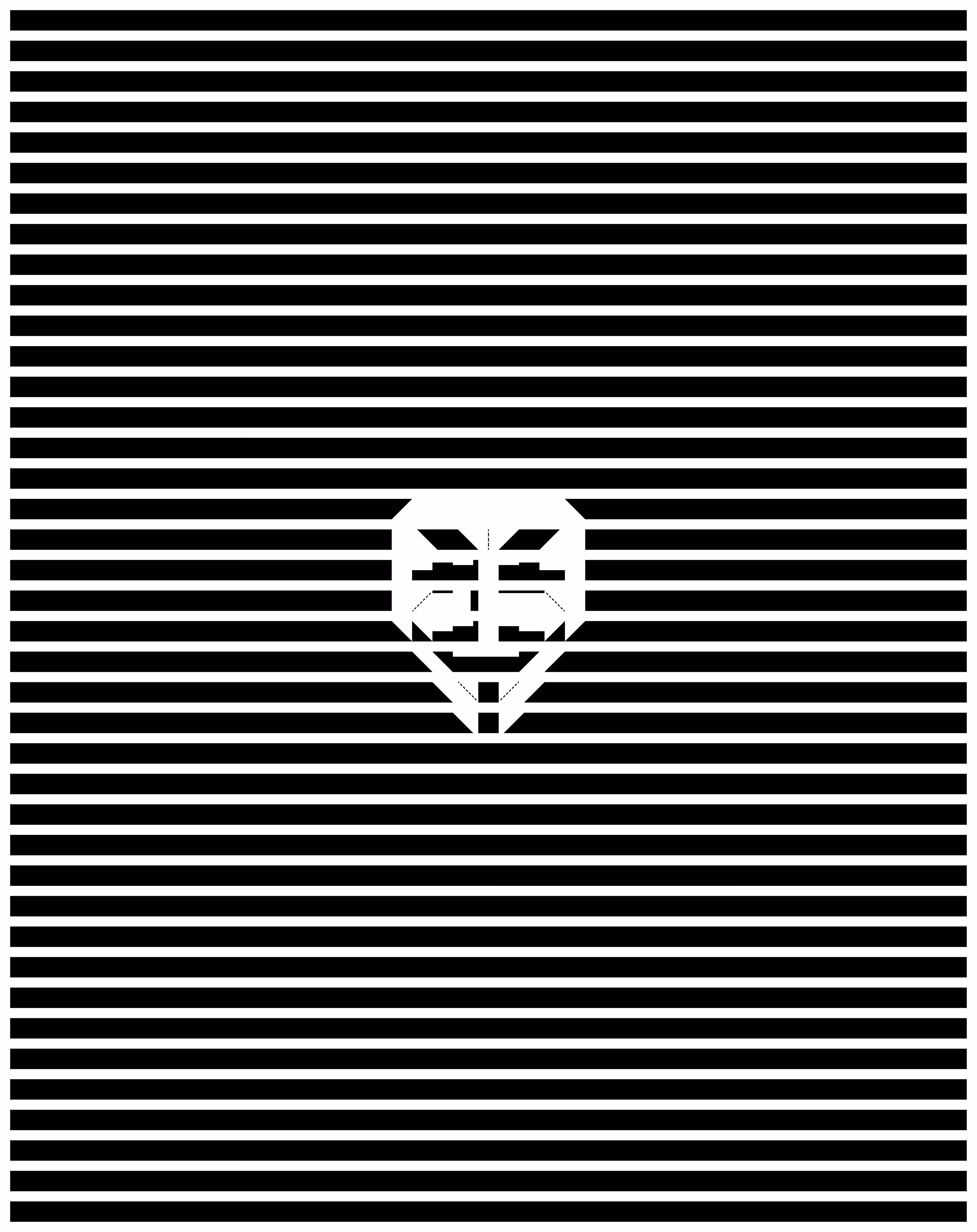 Hacker Mask </Portrait Mode>