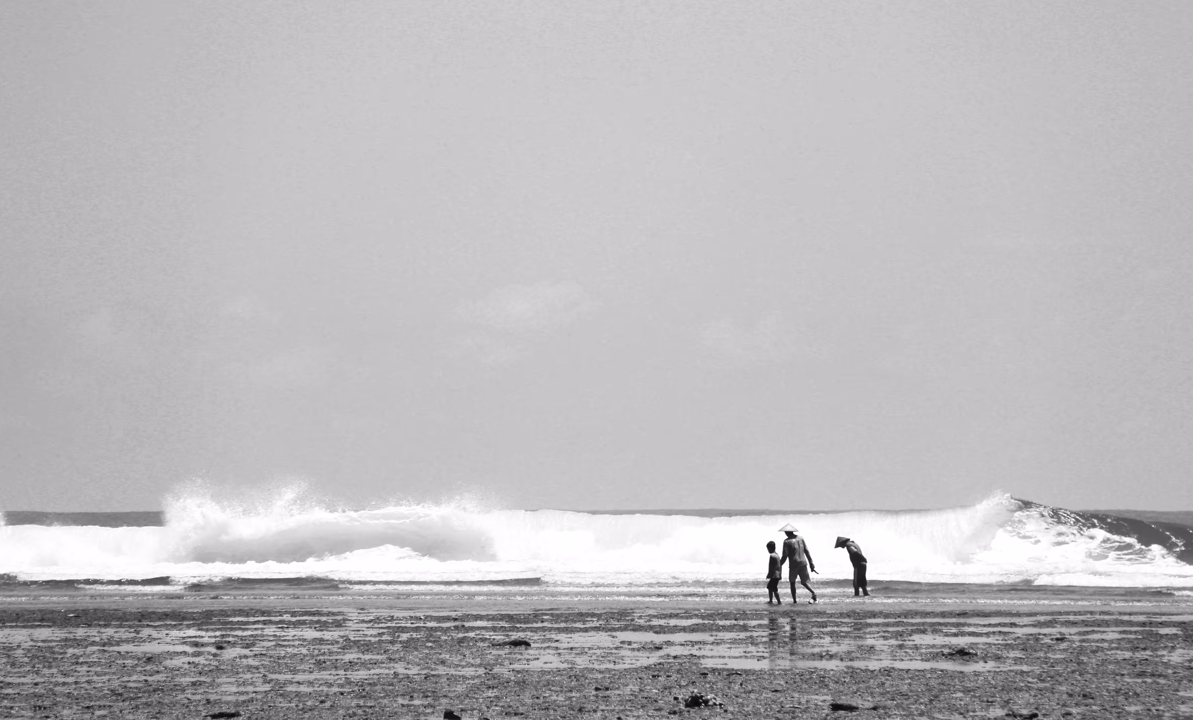 Sight Sea-ing