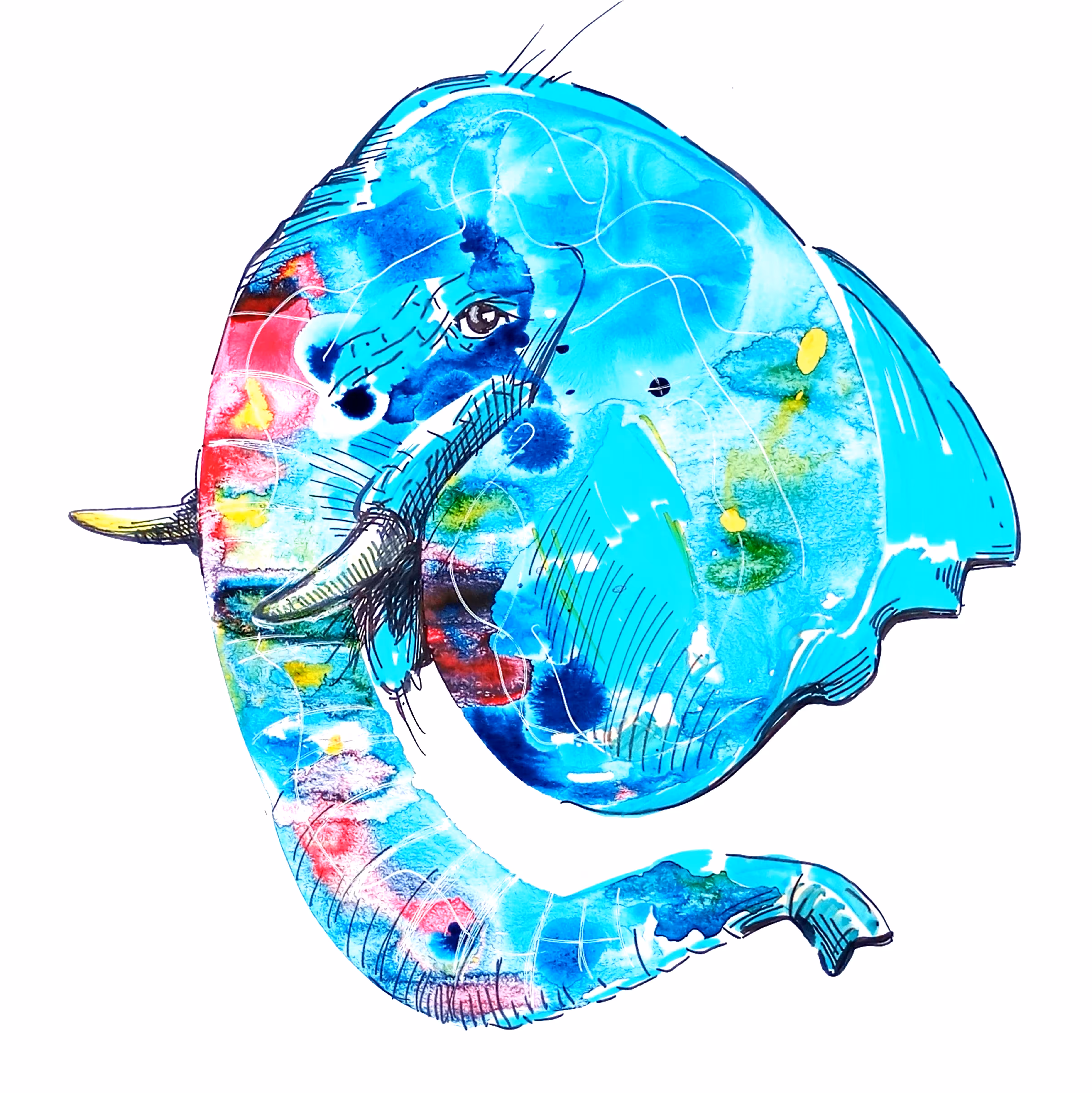 elephant
