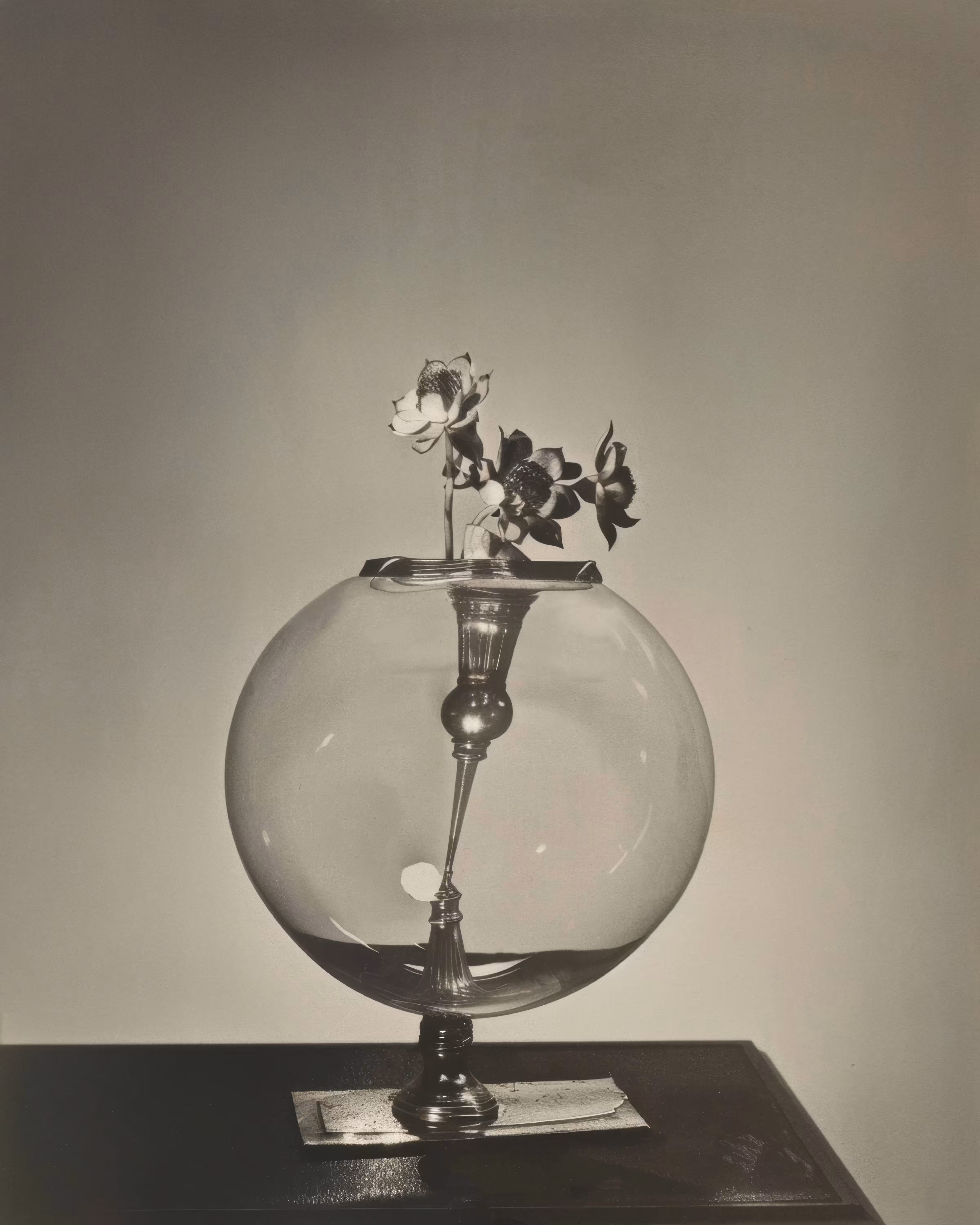 Rodeo posts: Time Travel #414