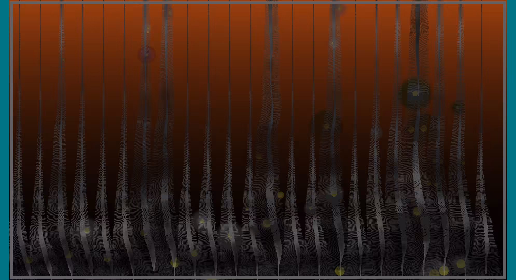 Saprophyte #11