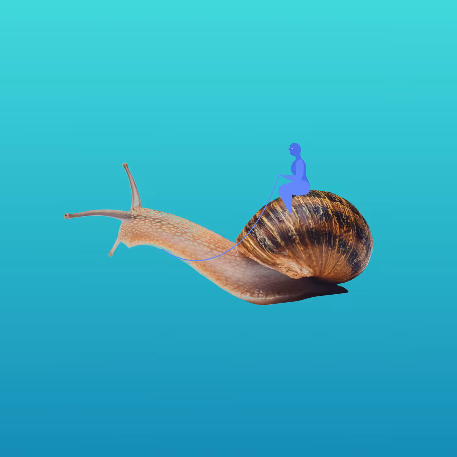 Escargot Go Go