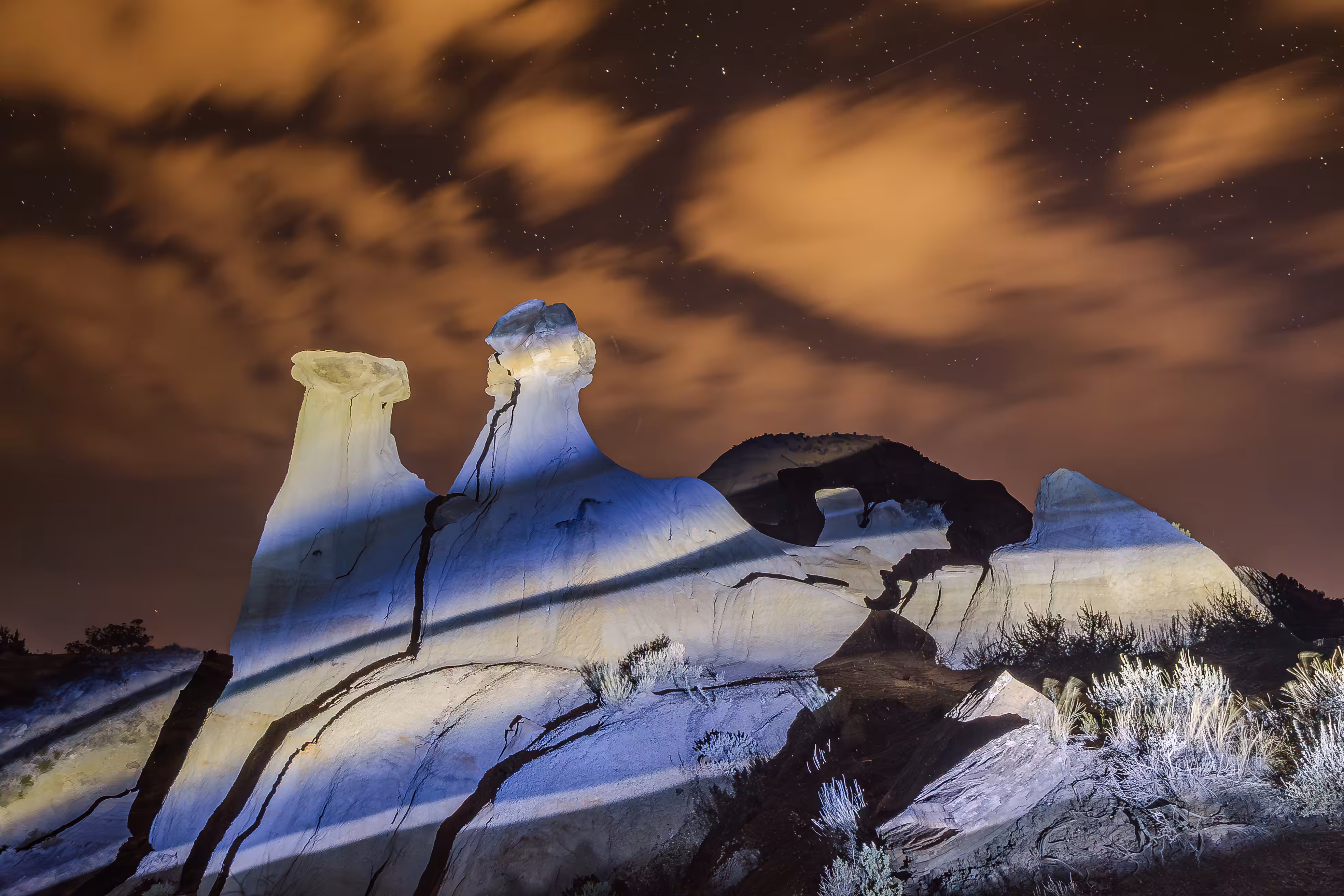 Something Beautiful is Dying: Twin Sisters