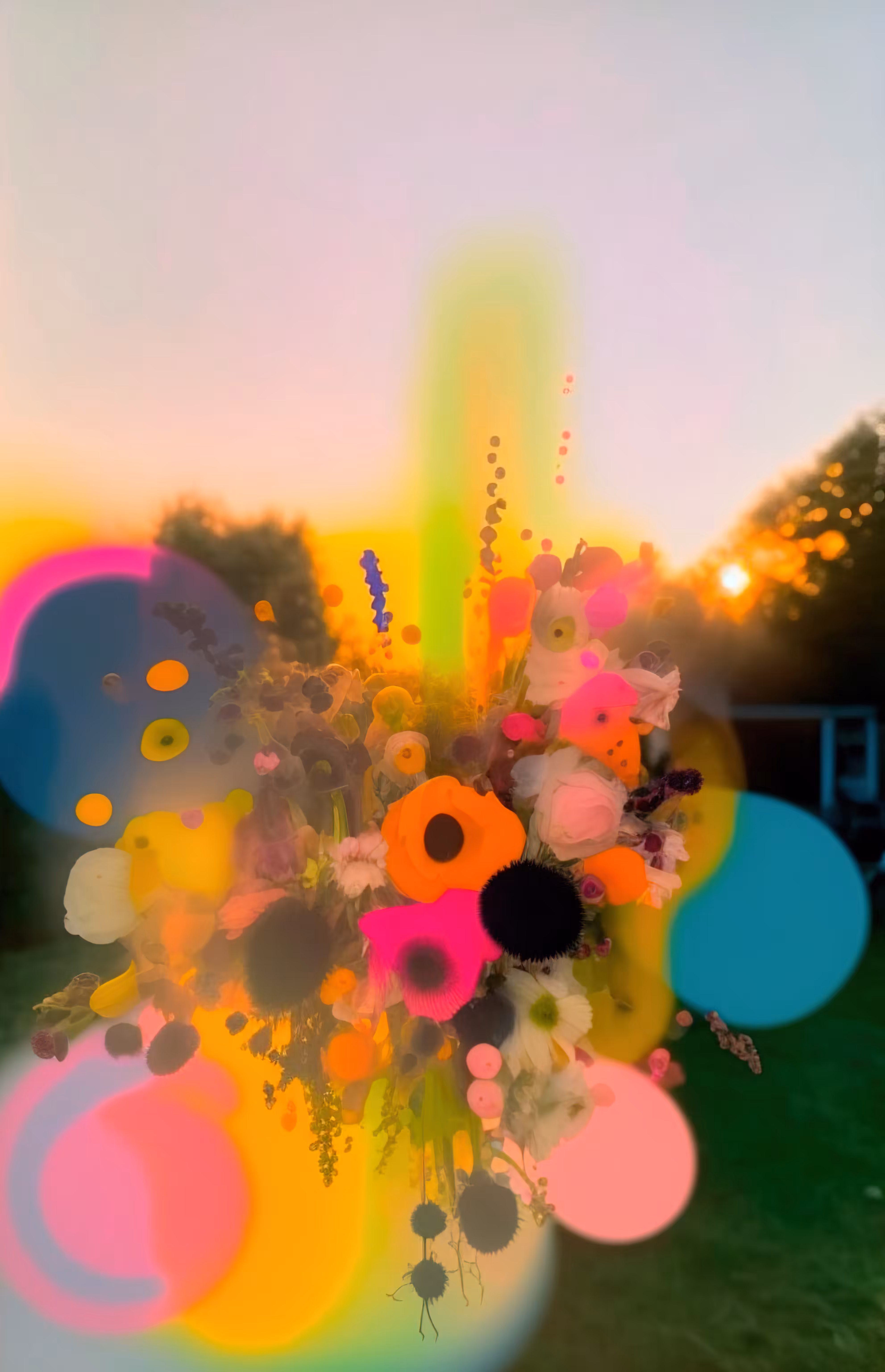 Spectrum Of Nature