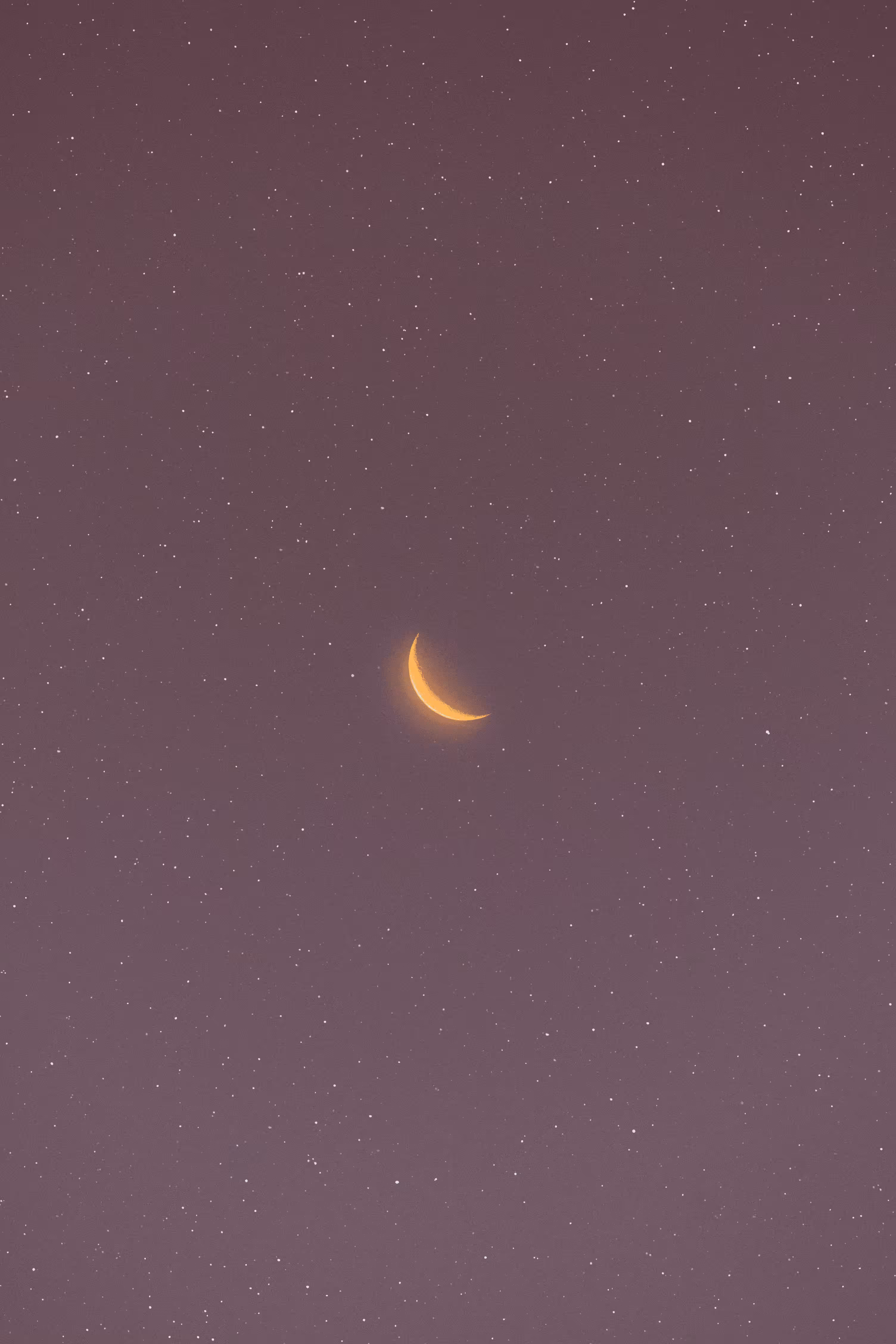 My Moons and Stars #94