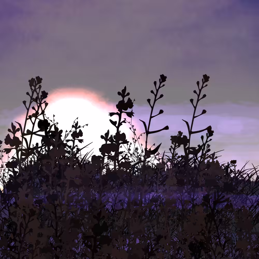 Walk in the field #35