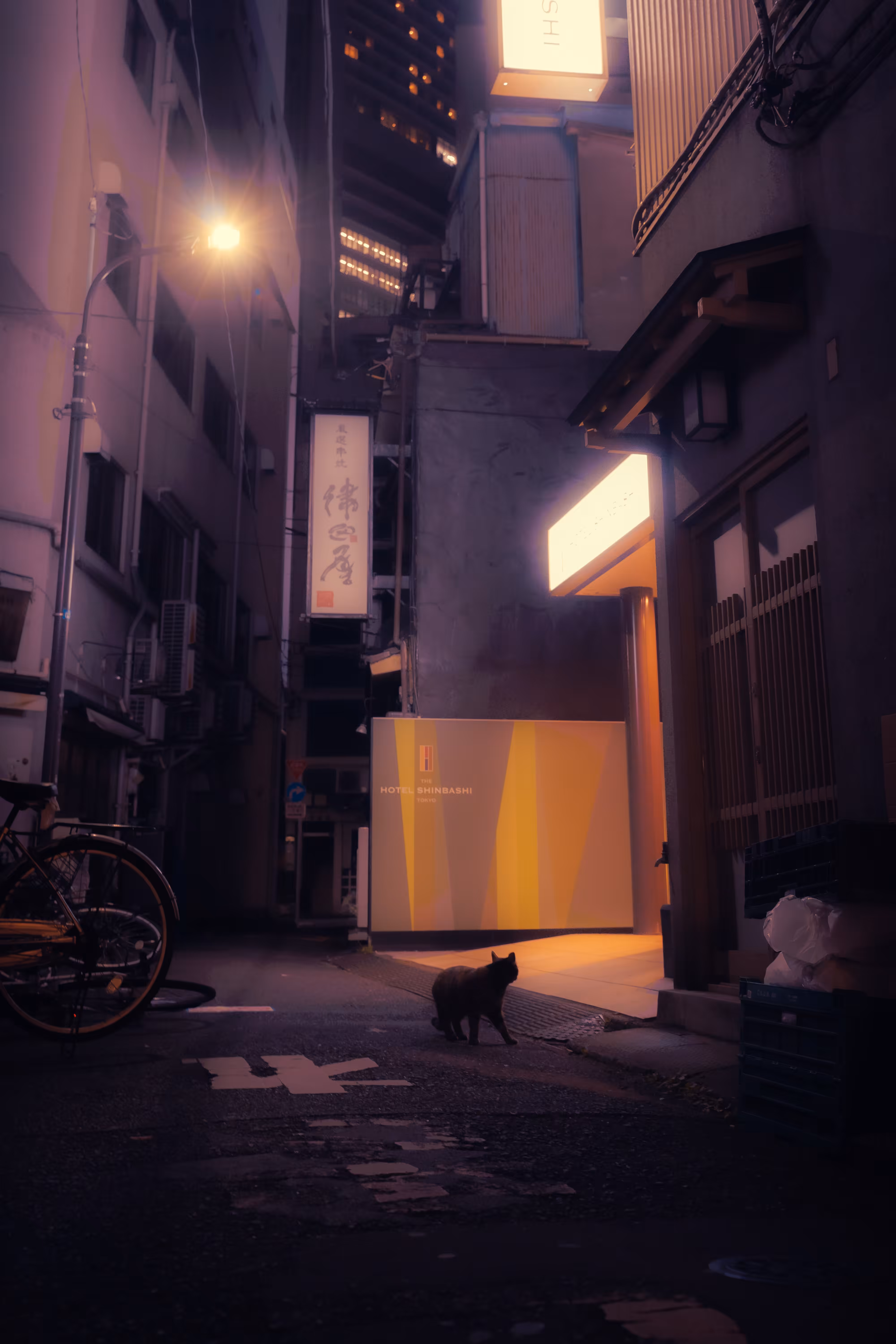 Tokyo - Unvisited Streets 02/04