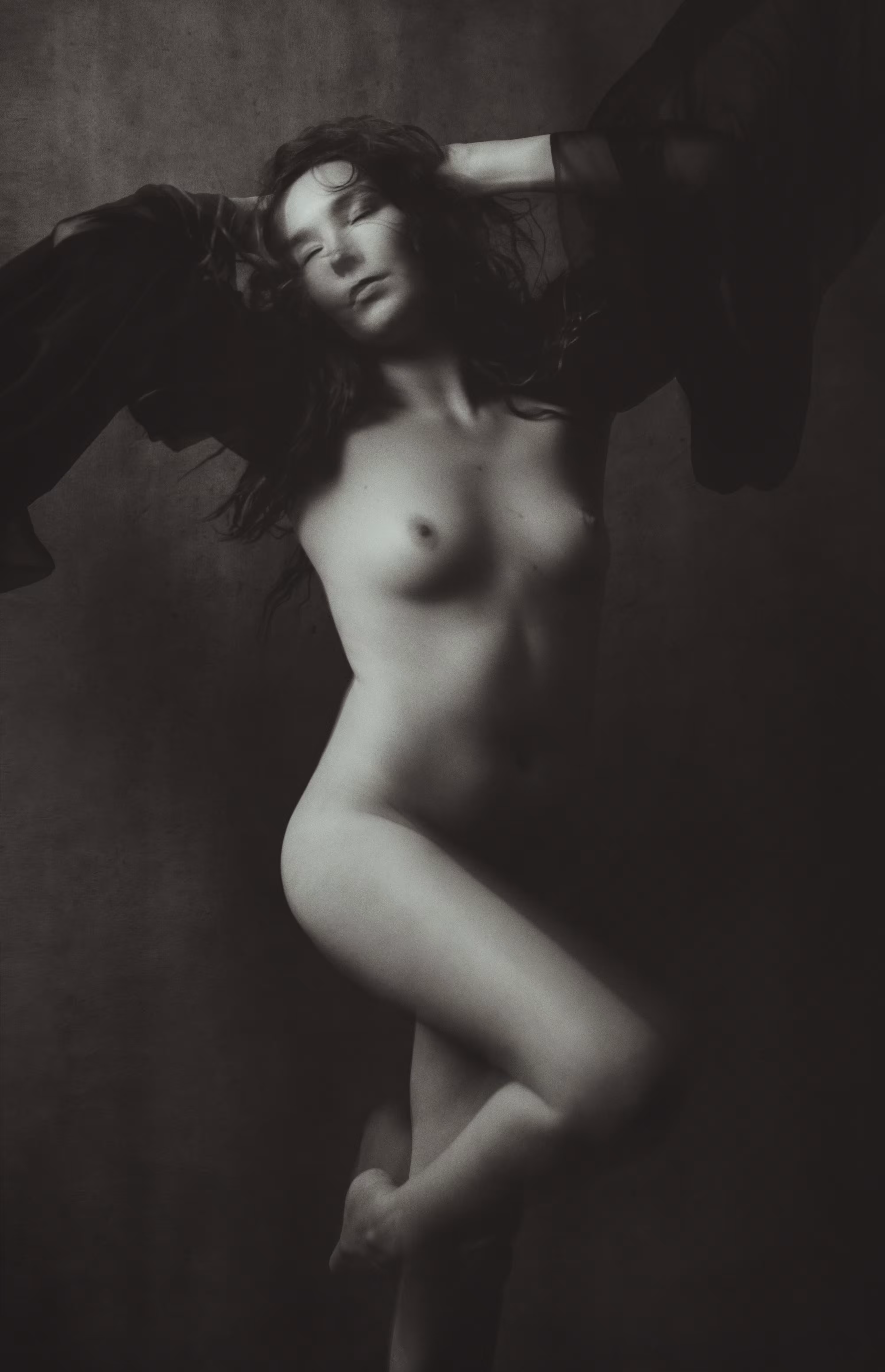 The silent flamingo