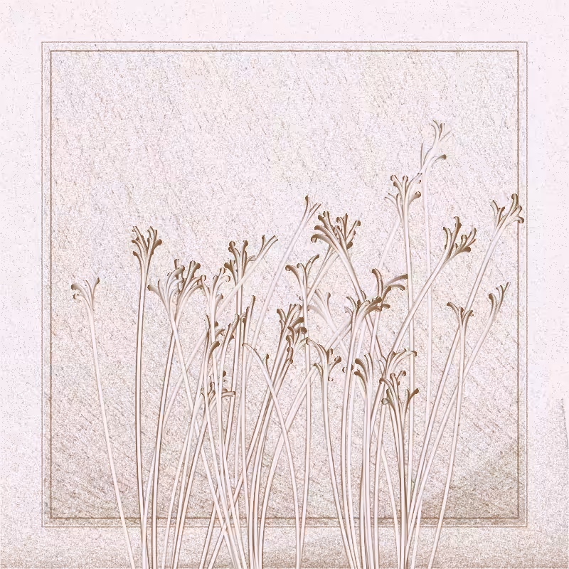 string_pllu #53