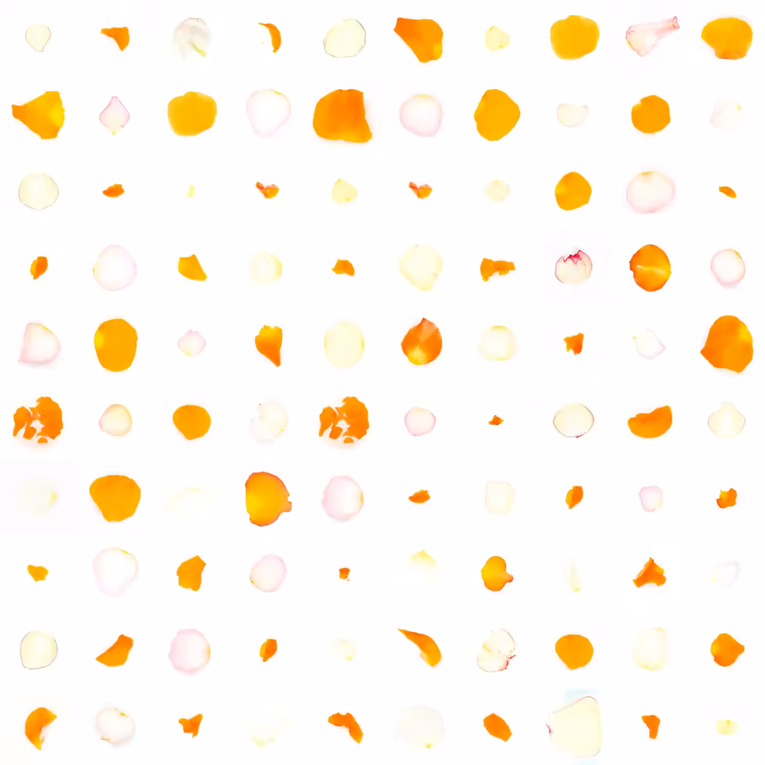 Infinite Petals 10x10#2090