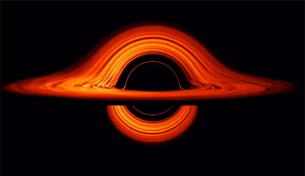 Black Hole Interference