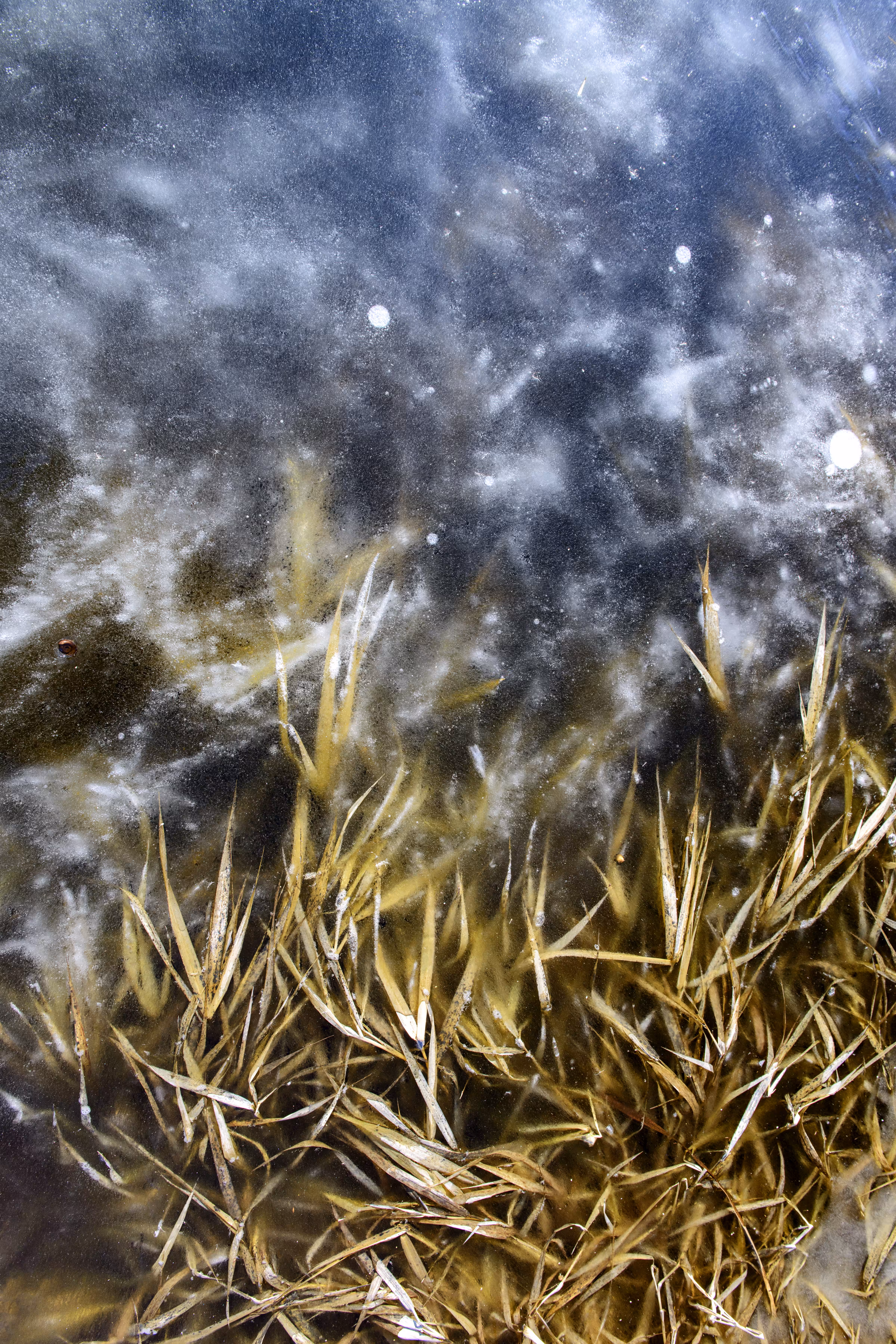 Microcosm of Ice