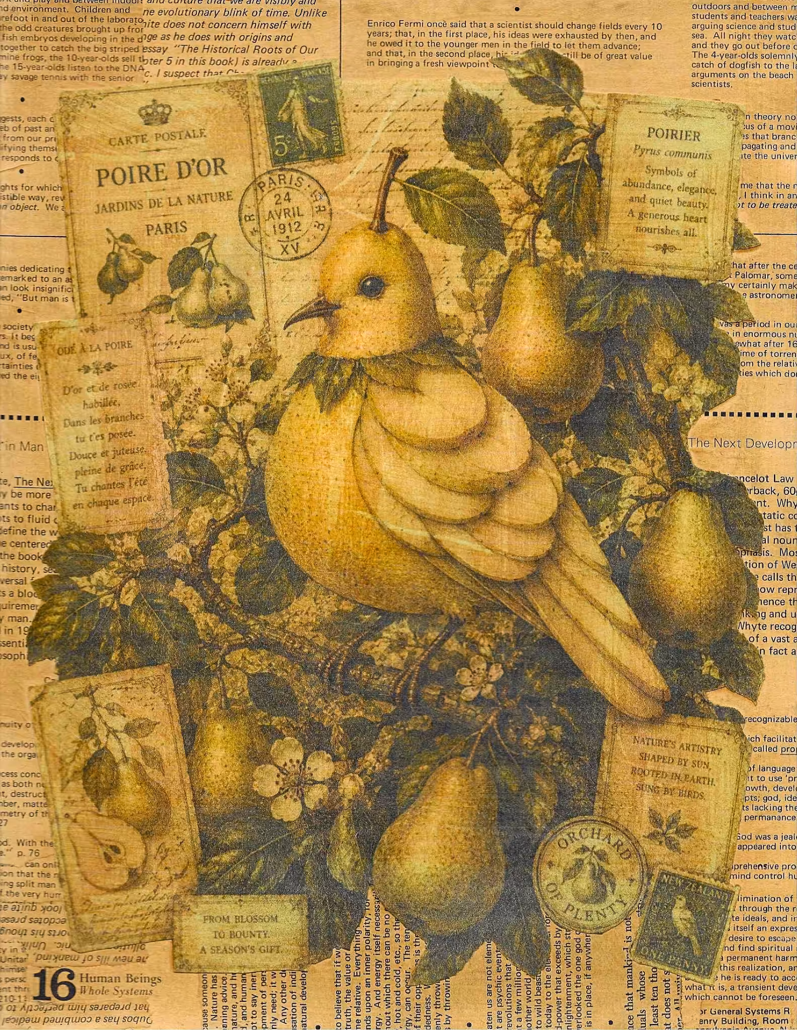 The Singing Pear