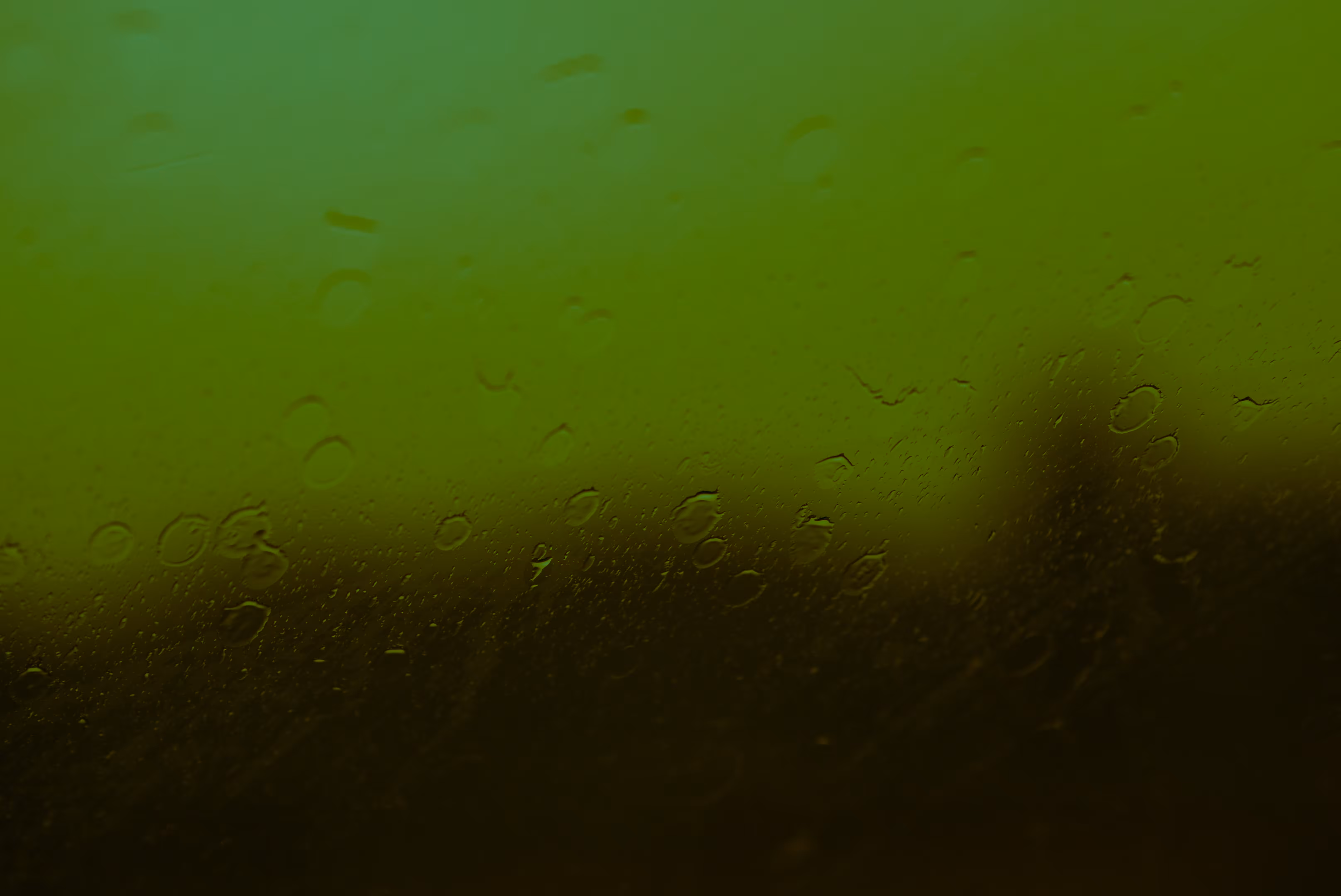 raindrops