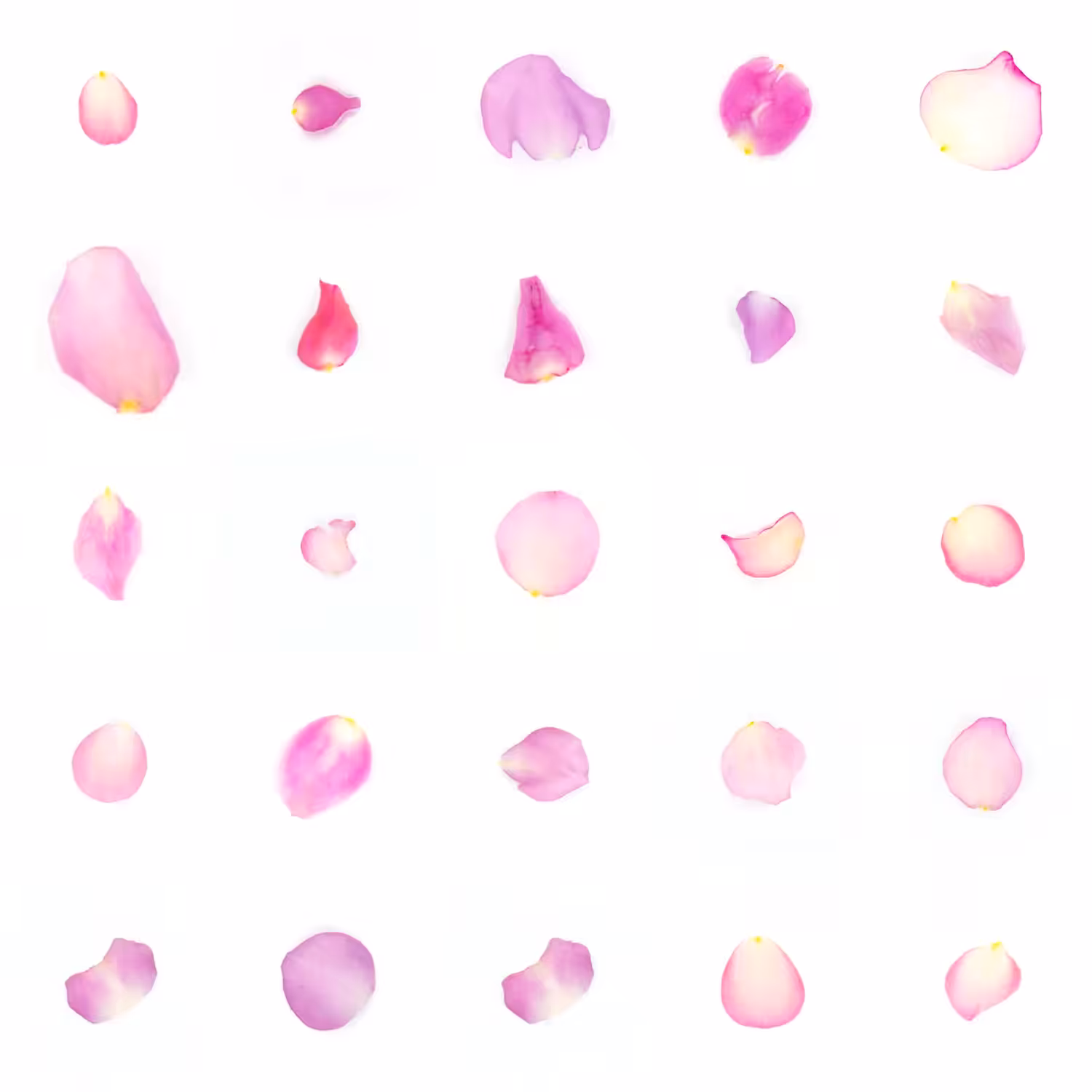 Infinite Petals 5x5#1887