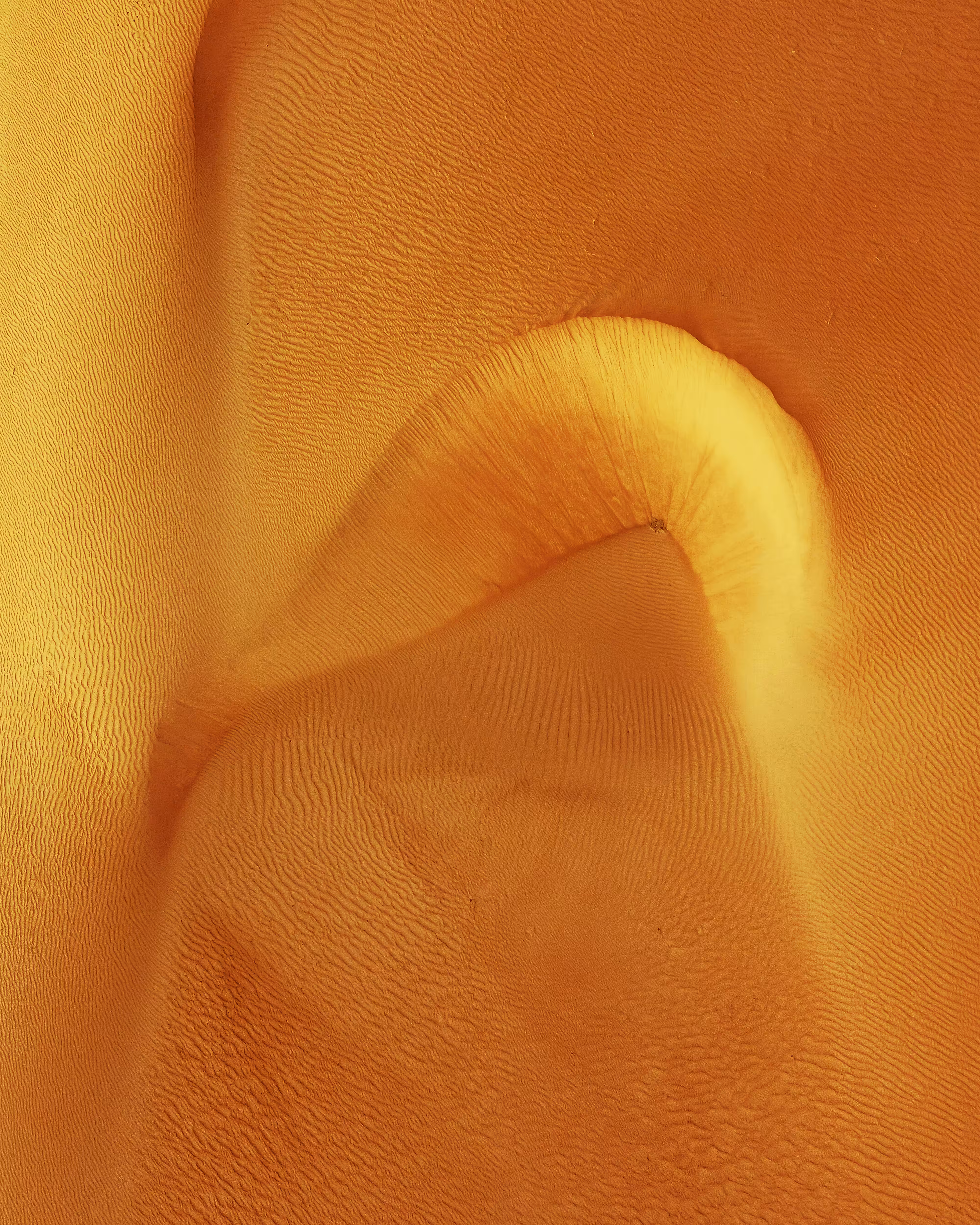 Desert Rose