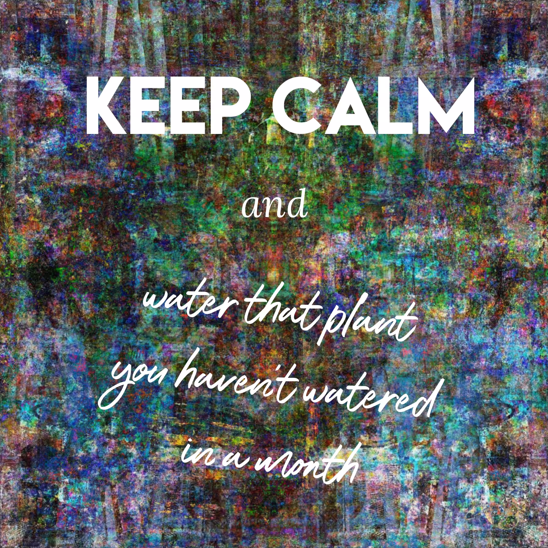 Yes, you.